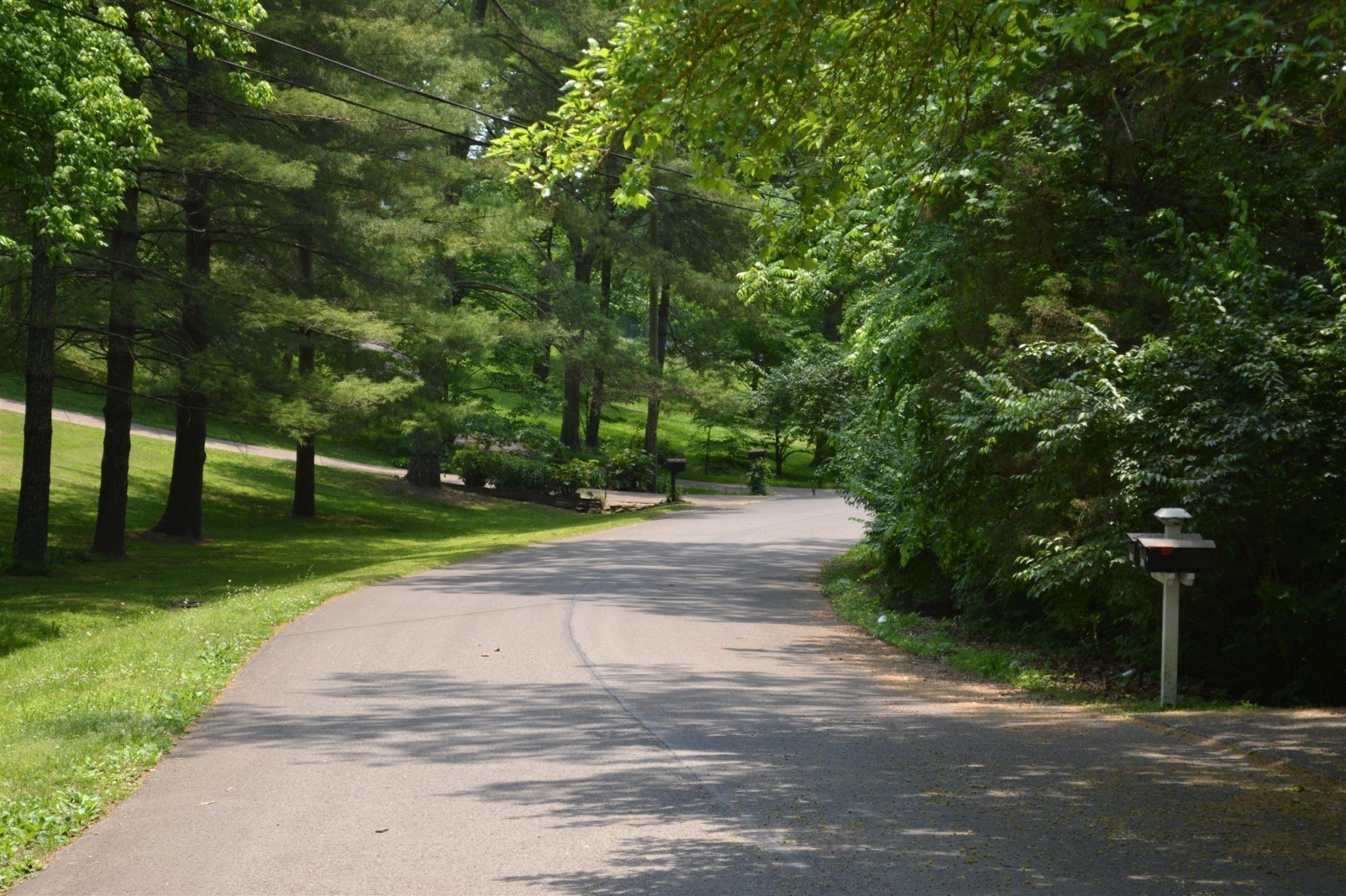 Photo of Listing #3078352