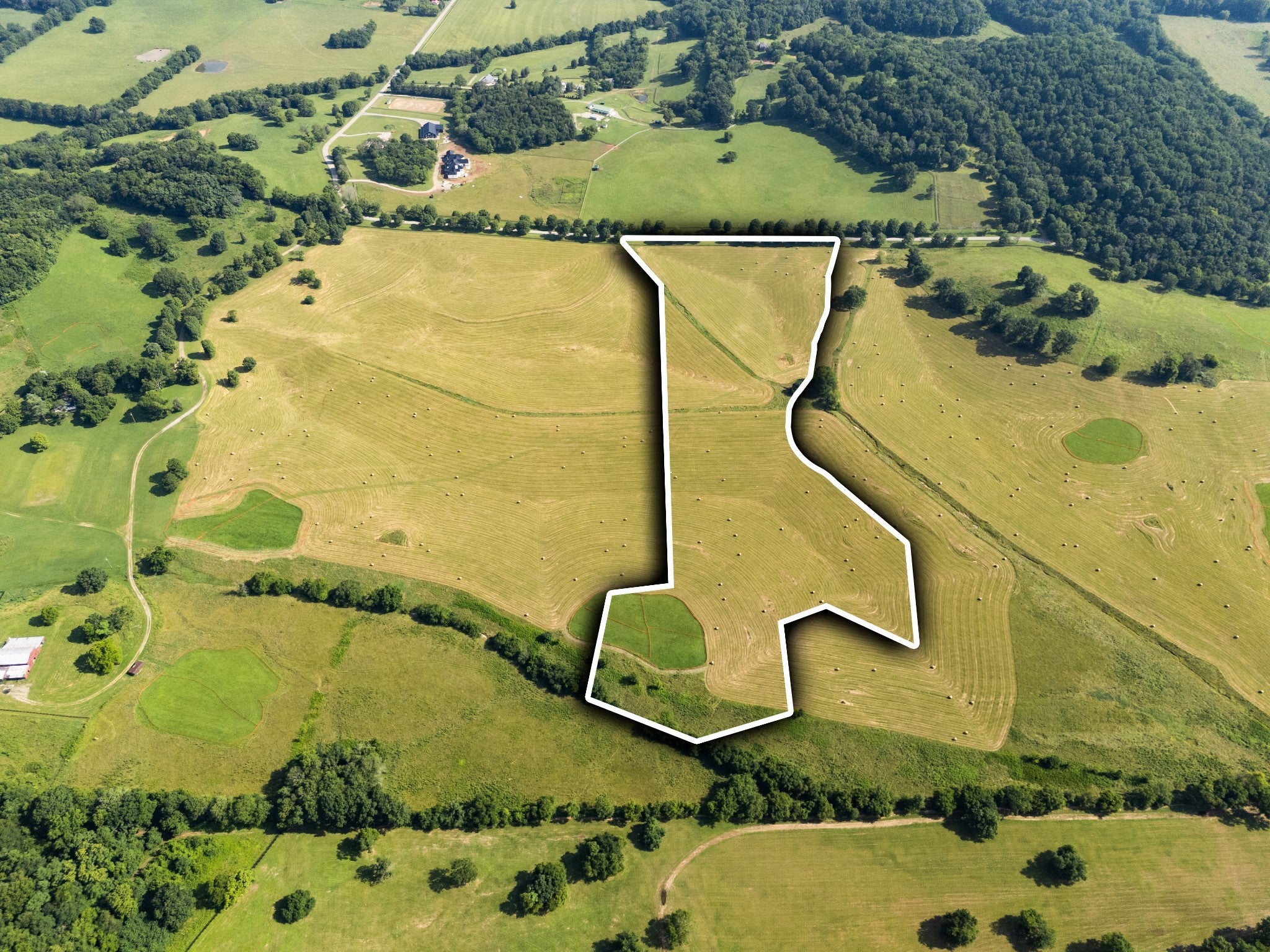 Photo of Listing #3078487