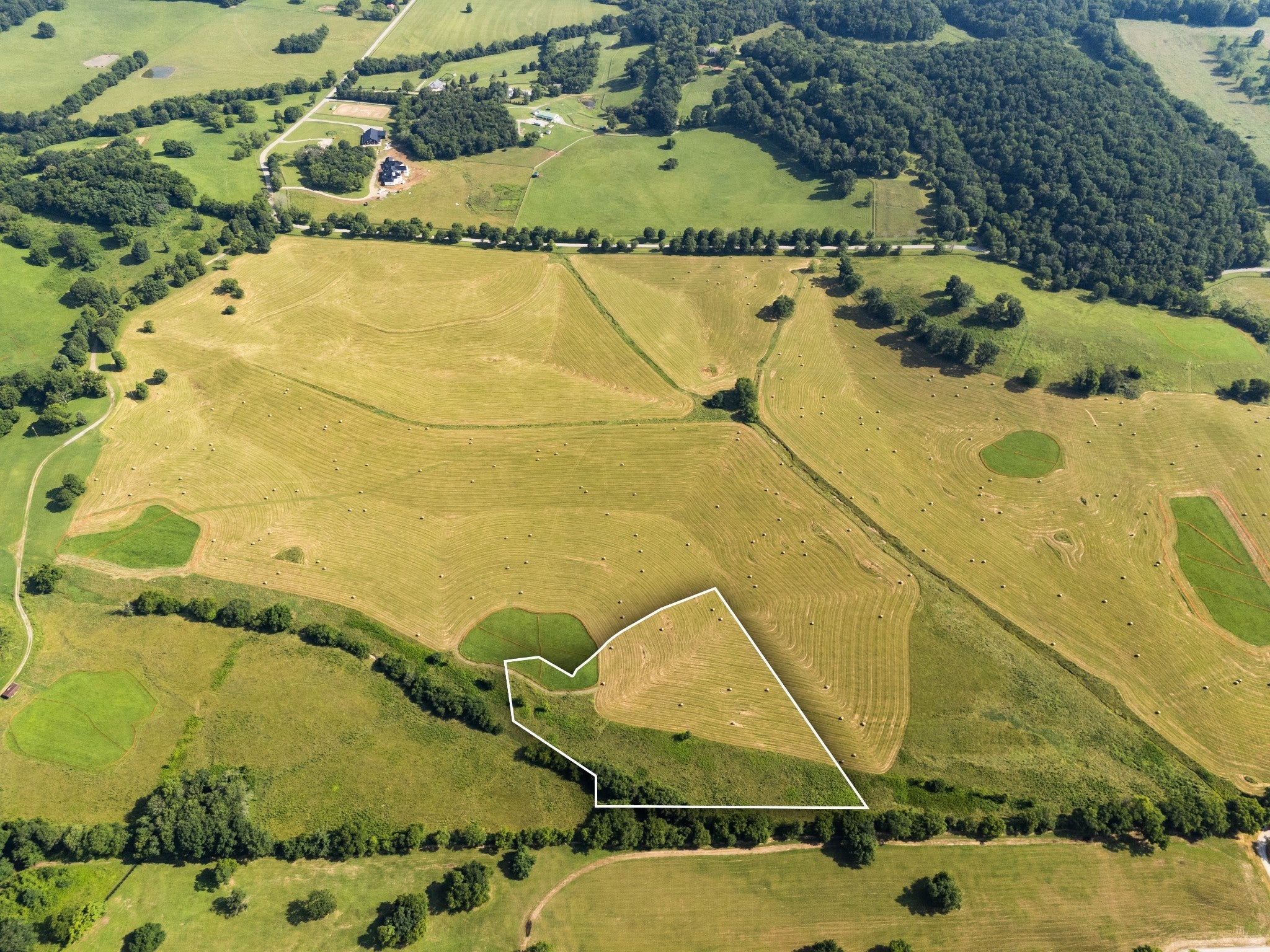 Photo of Listing #3078490