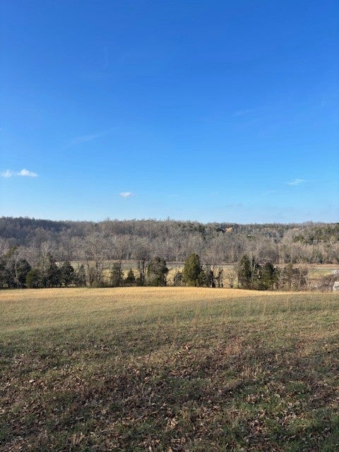 Photo of Listing #3078519