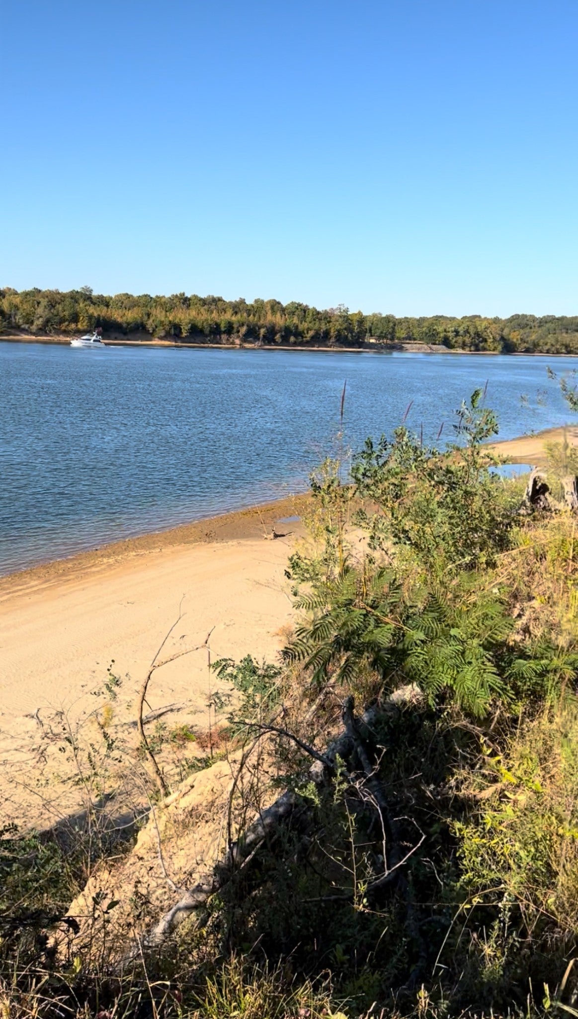 Photo of Listing #3078838