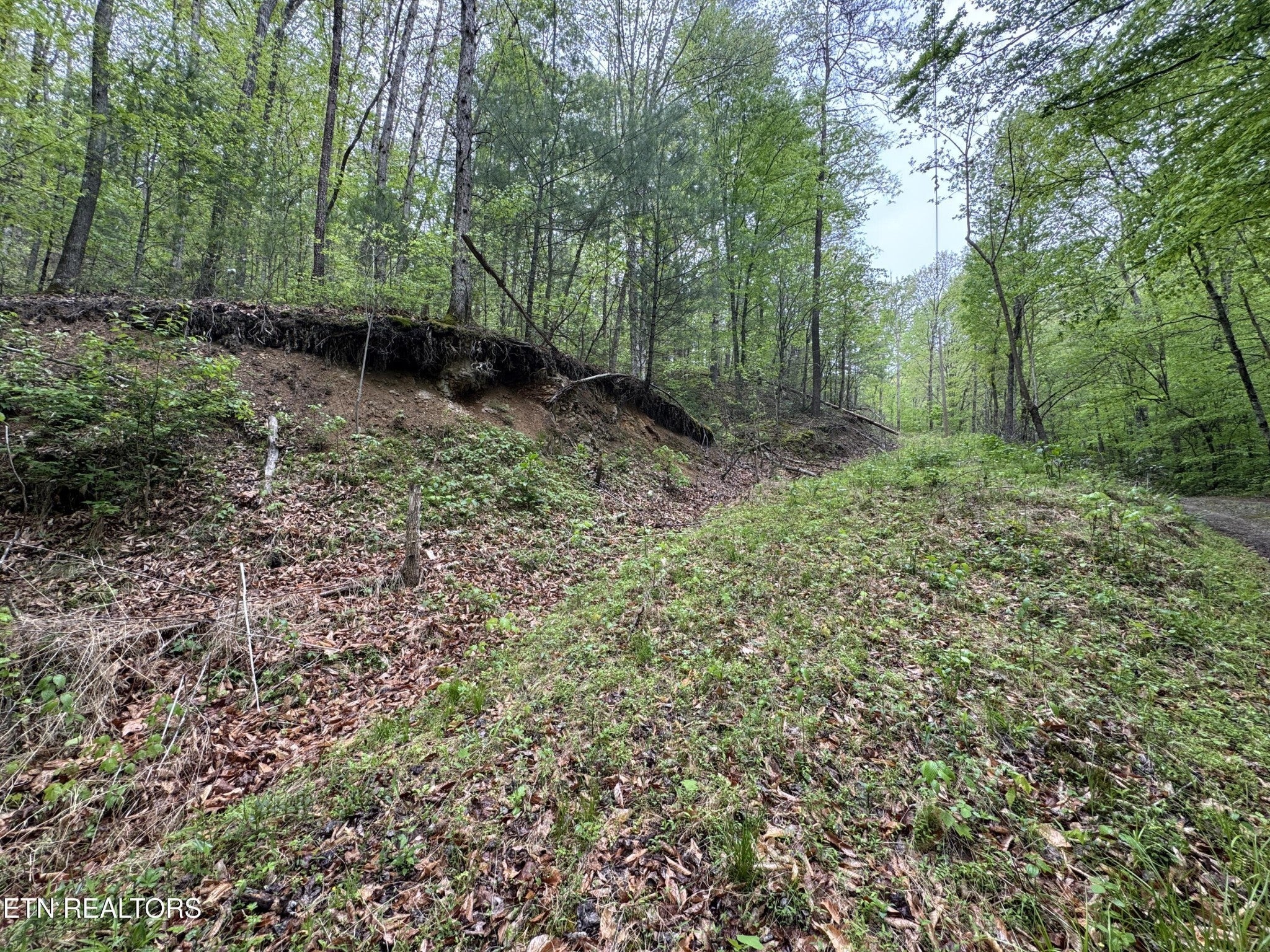 Photo of Listing #3078929