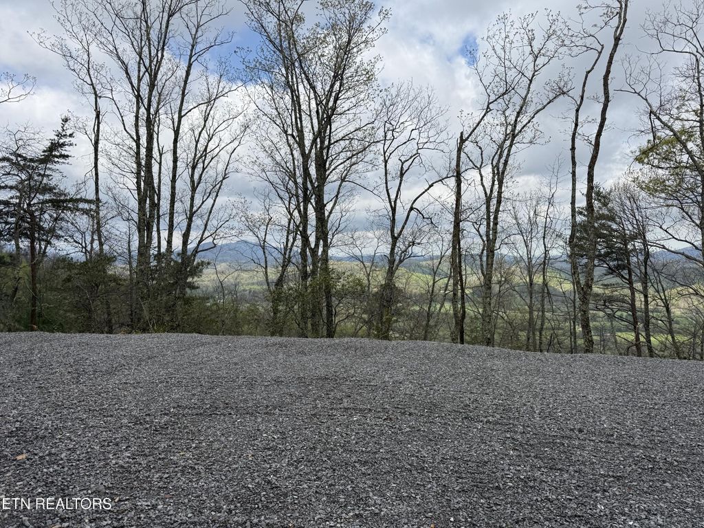 393 Green Forest Rd, Cosby