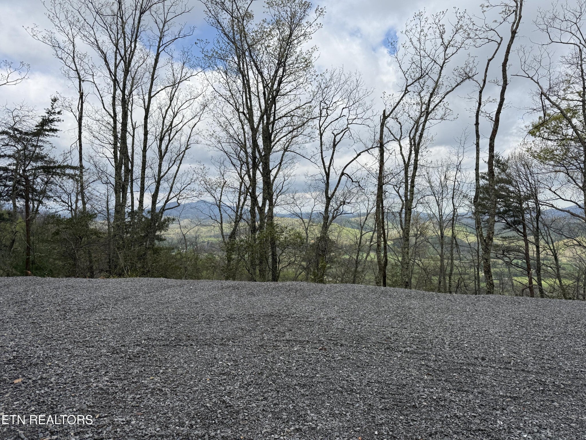 Photo of Listing #3078930