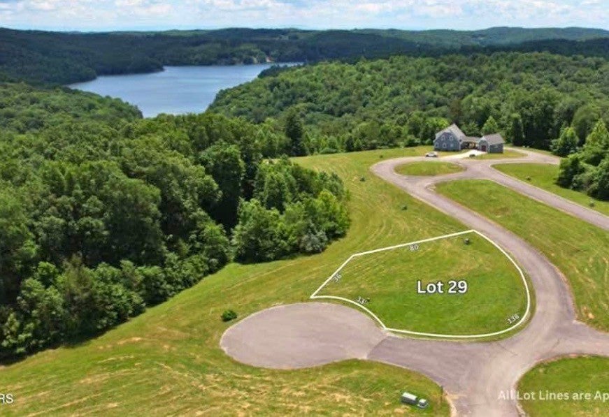 Photo of Listing #3078939