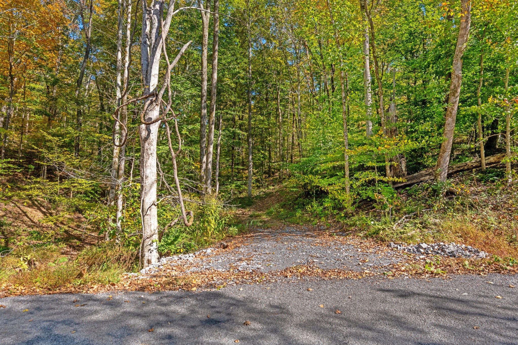 Photo of Listing #3078989