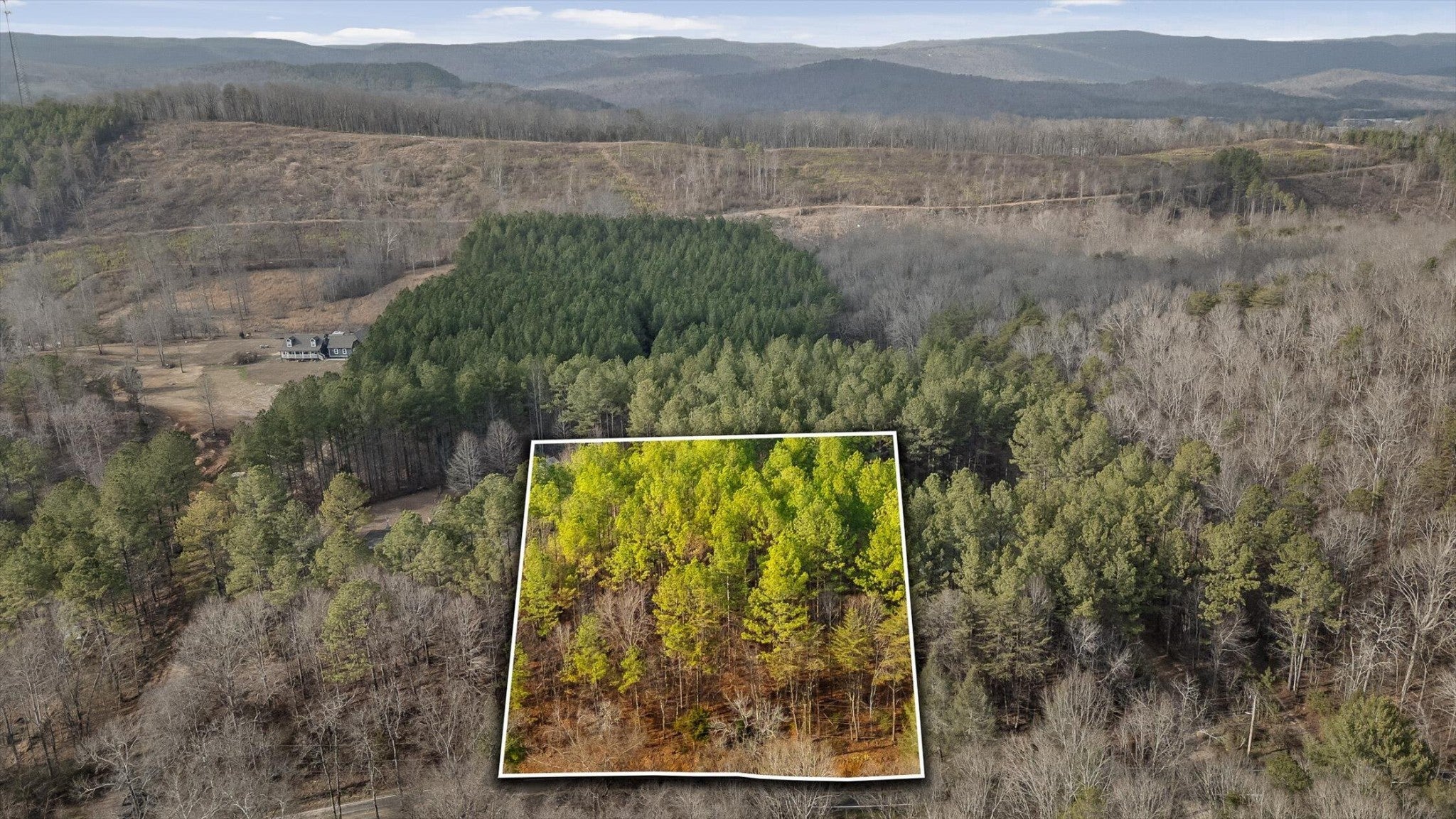 Photo of Listing #3079005