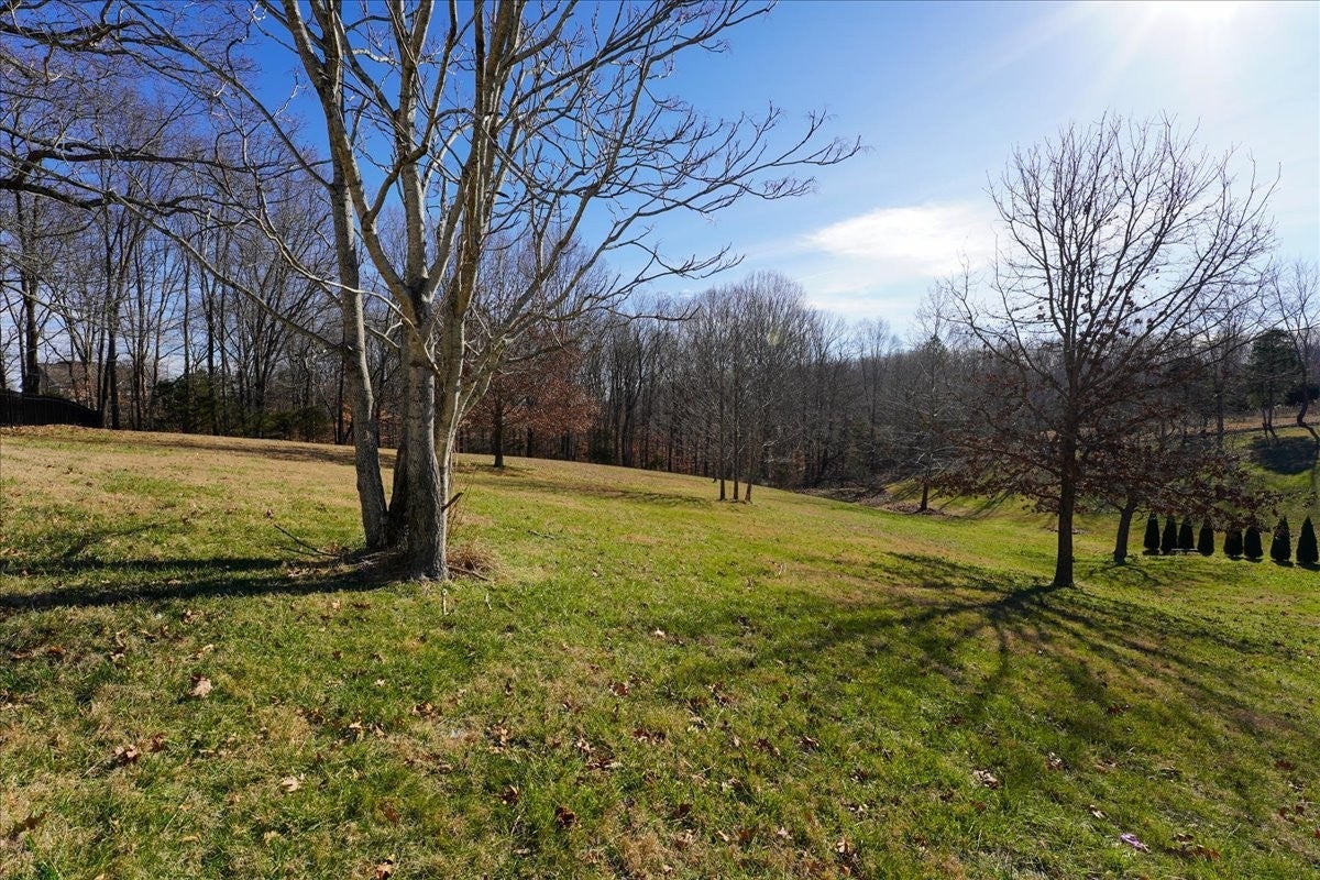 Photo of Listing #3079085