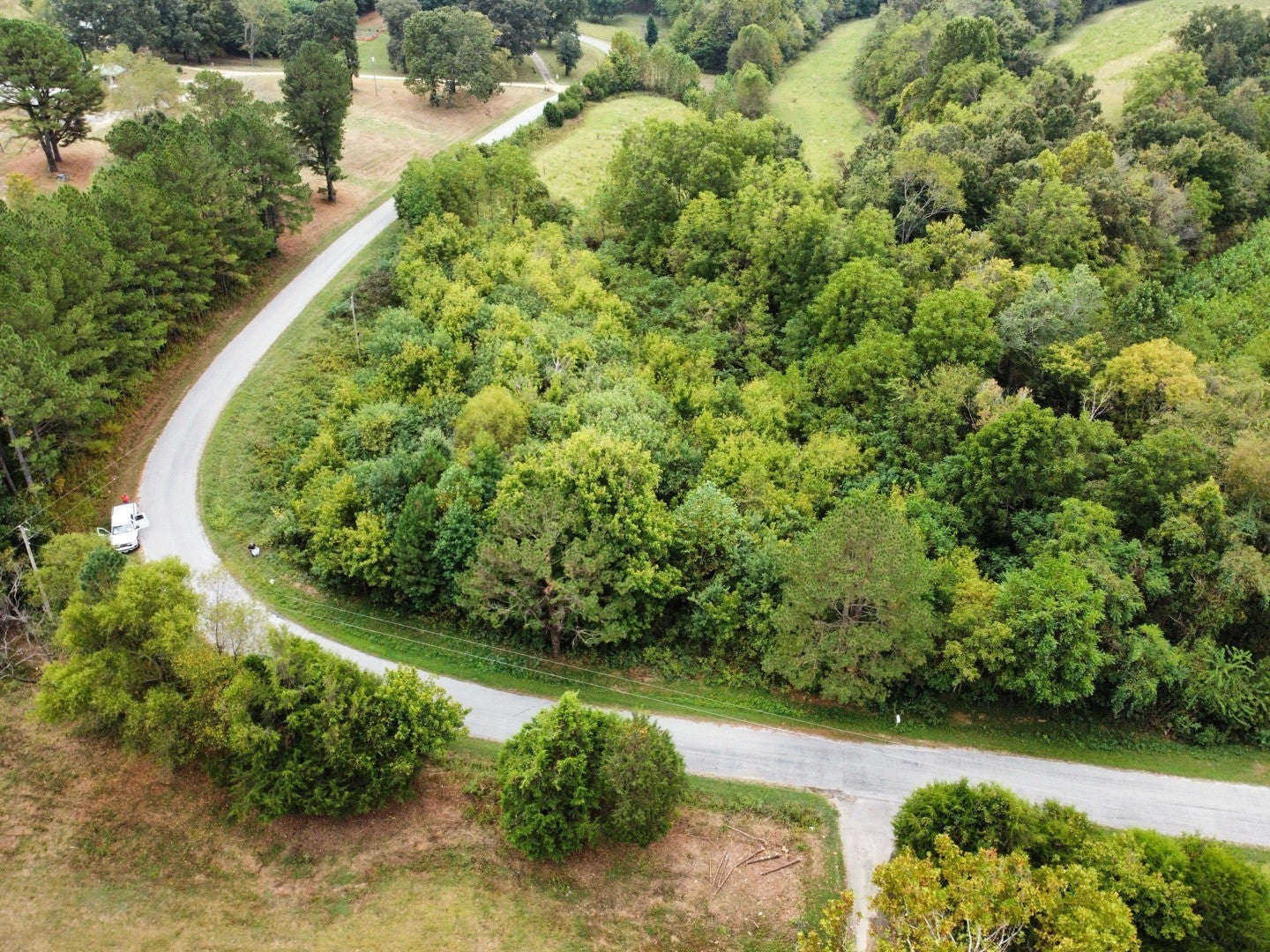 Photo of Listing #3079239