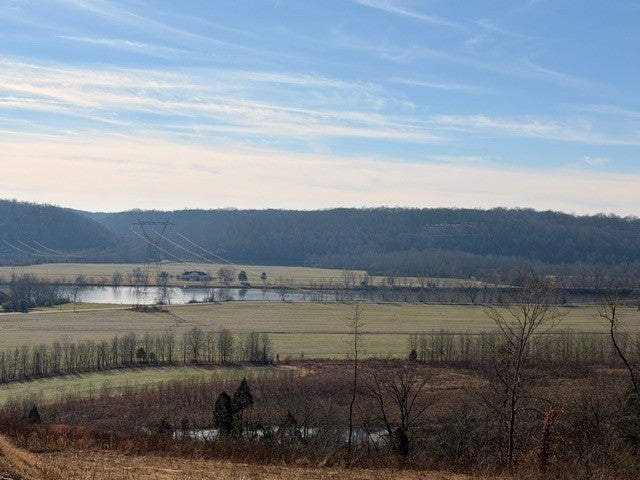 Photo of Listing #3079306