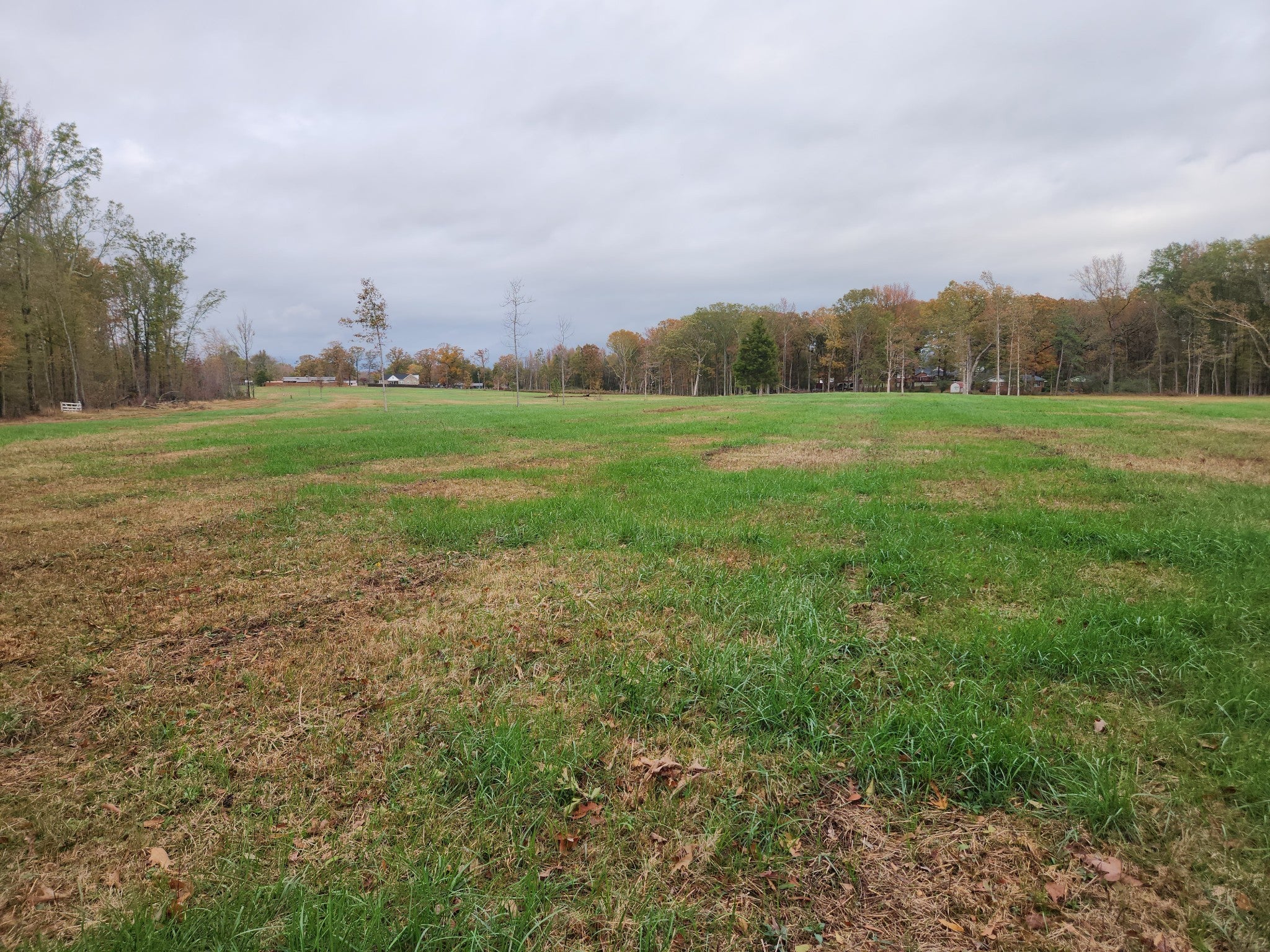 Photo of Listing #3079824