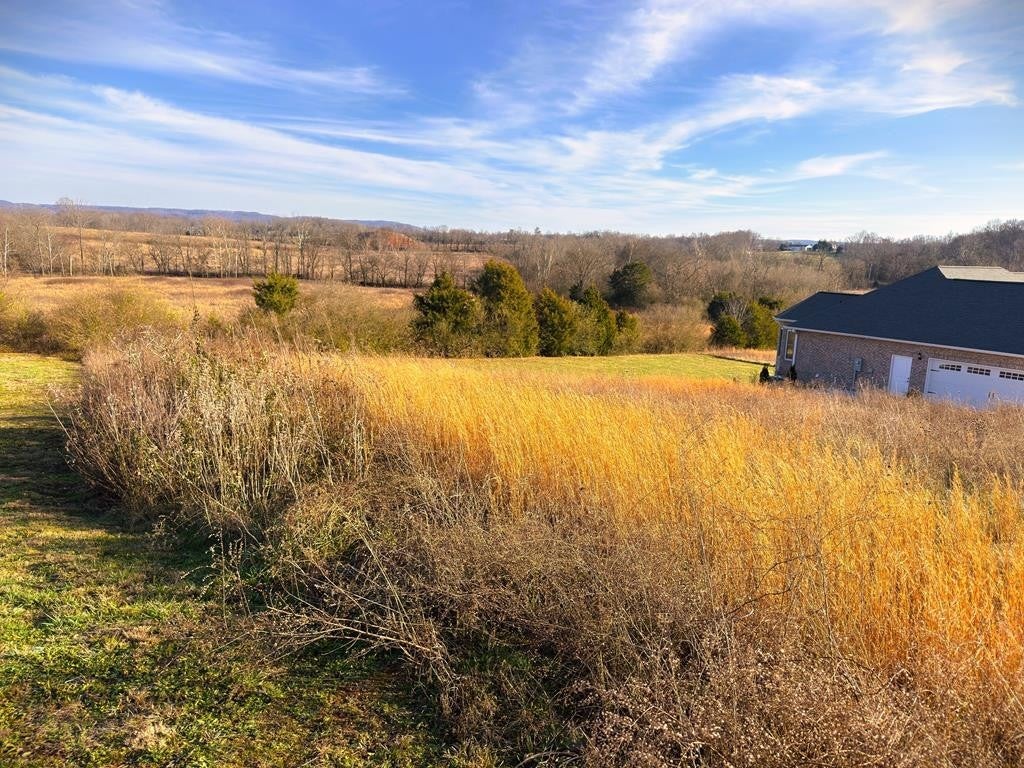 Photo of Listing #3080278