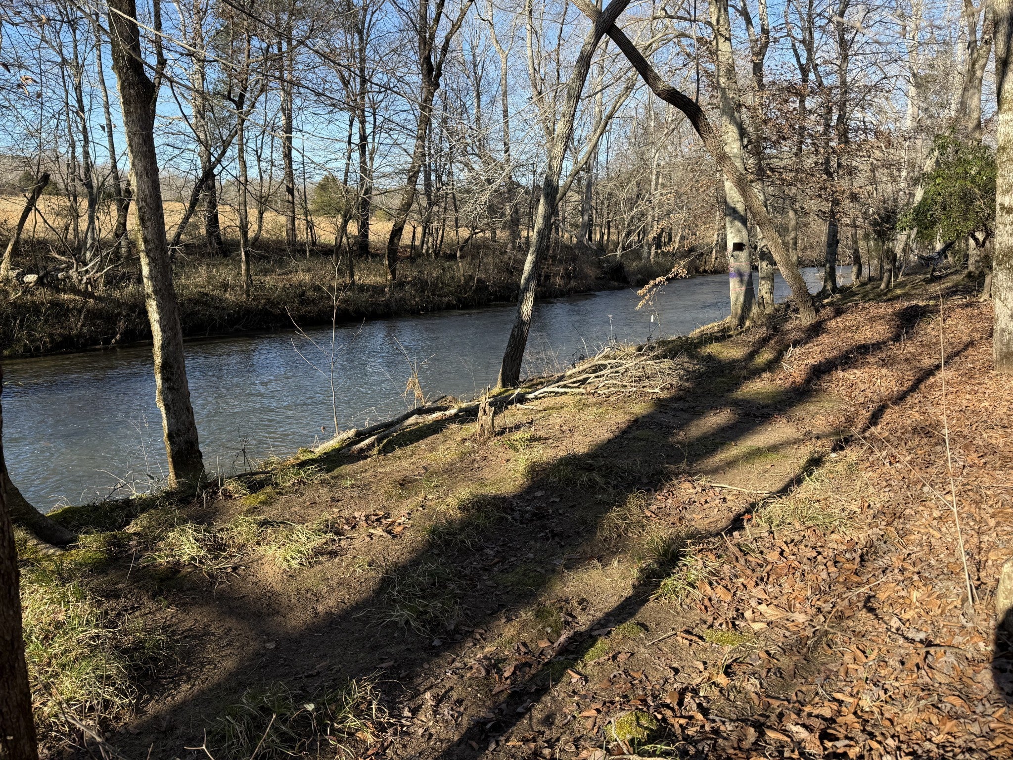 Photo of Listing #3080497