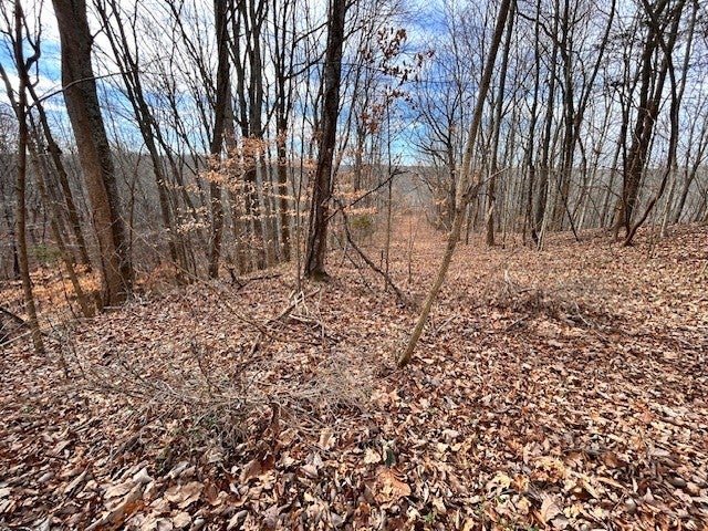 Photo of Listing #3080529