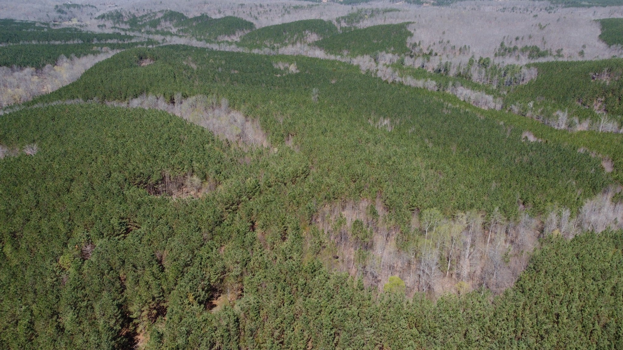 Photo of Listing #3083940