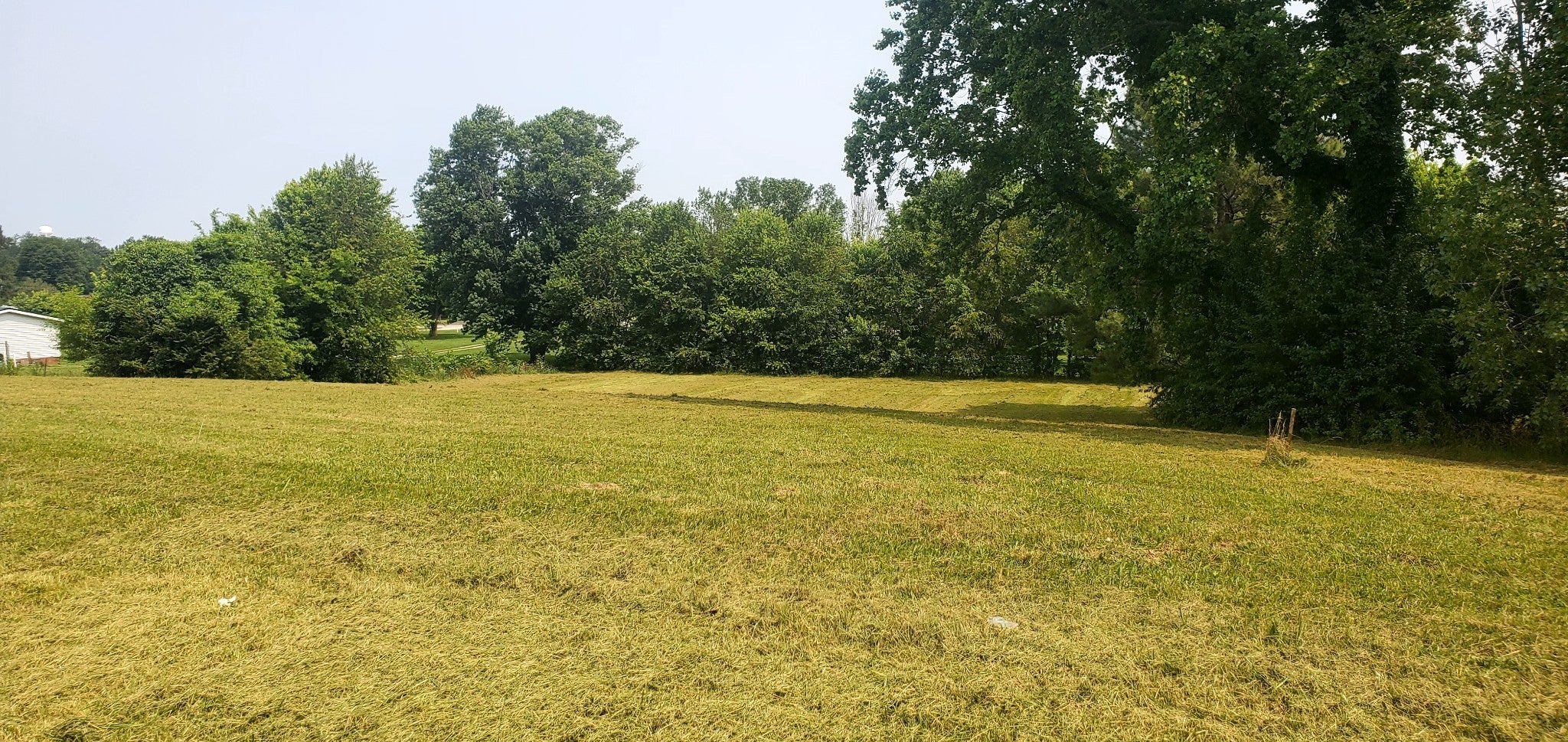 Photo of Listing #3093209