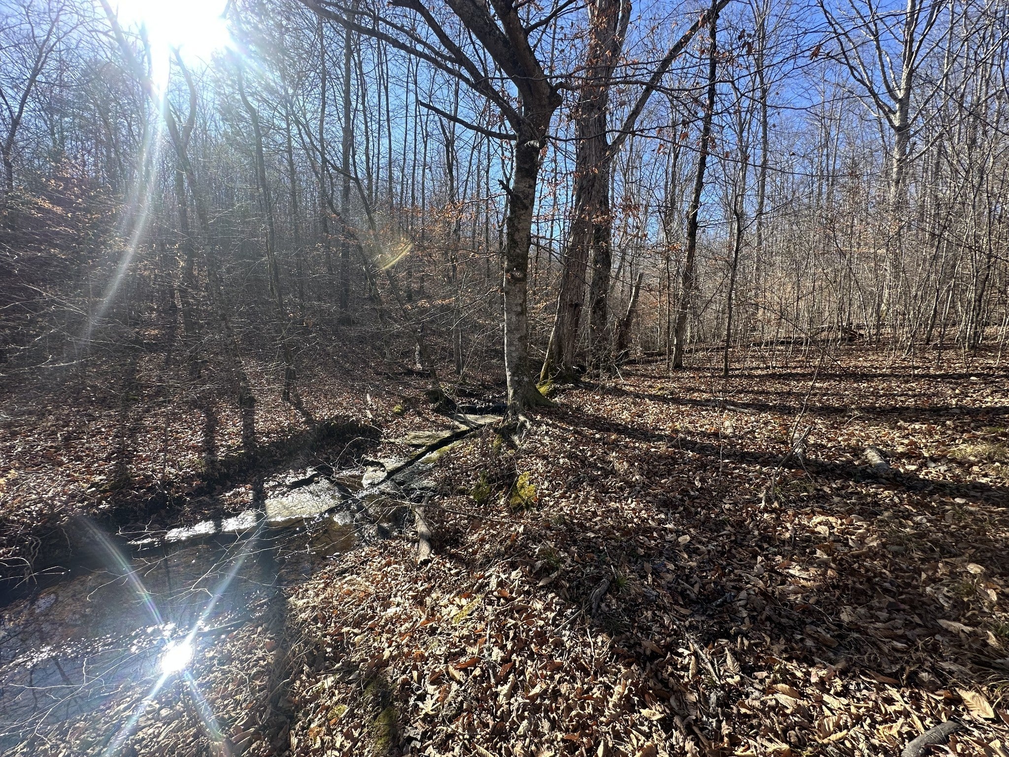 Photo of Listing #3093223