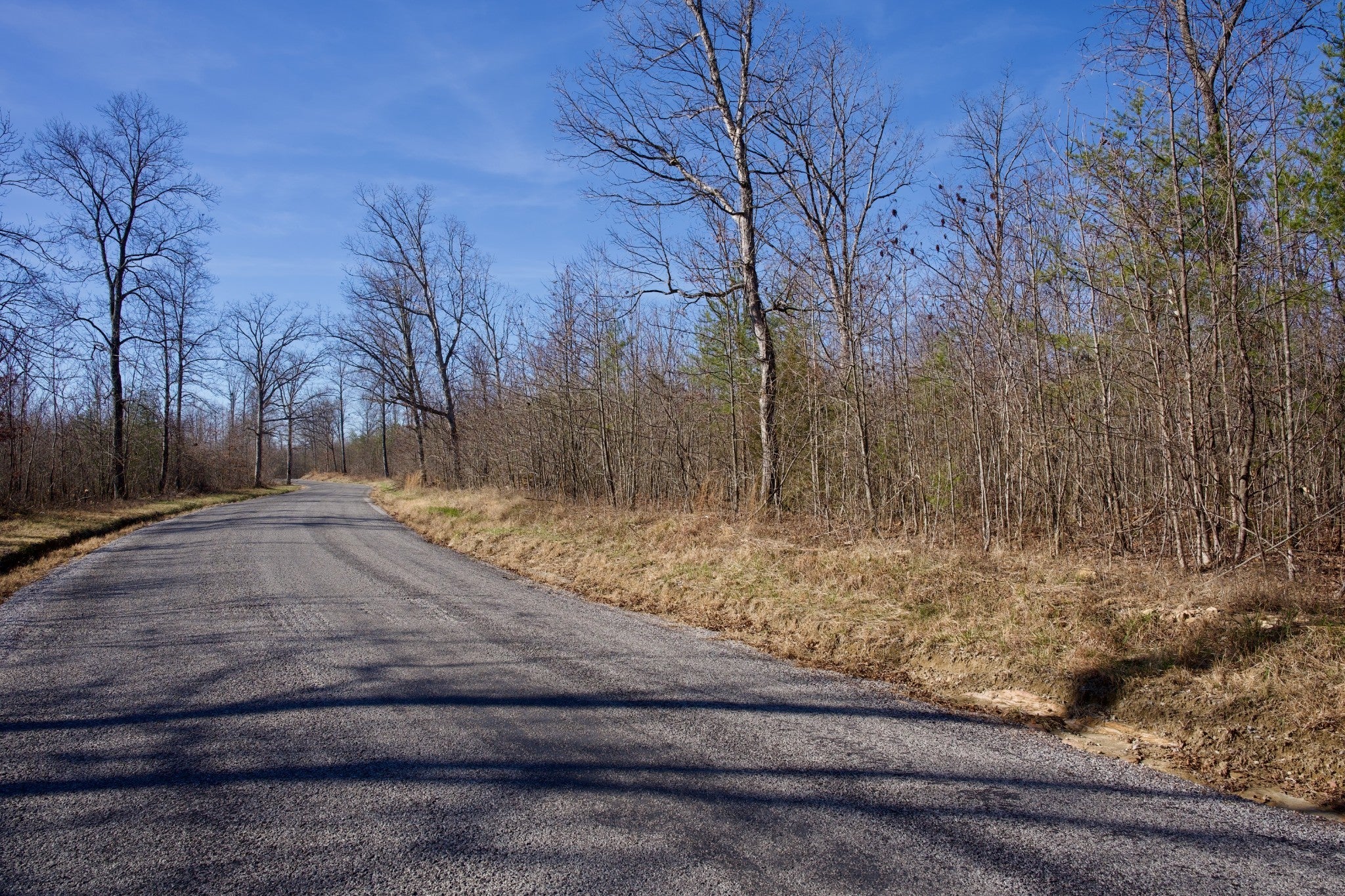 Photo of Listing #3093568