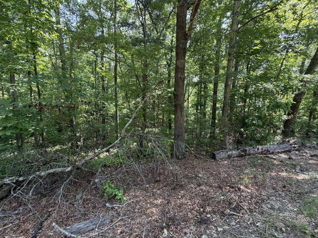 0 Pigeon Ridge Rd, Crossville