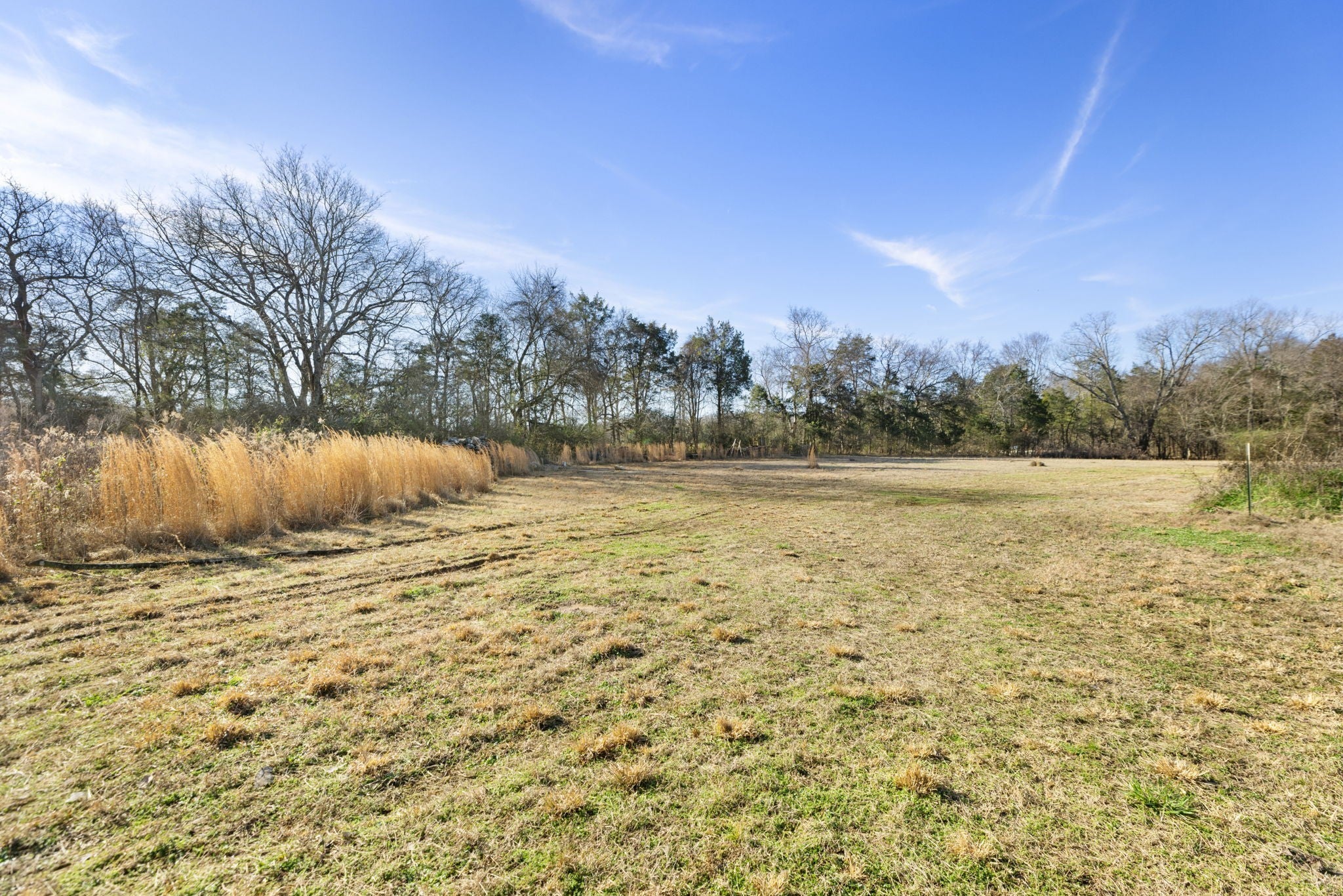 Photo of Listing #3093580