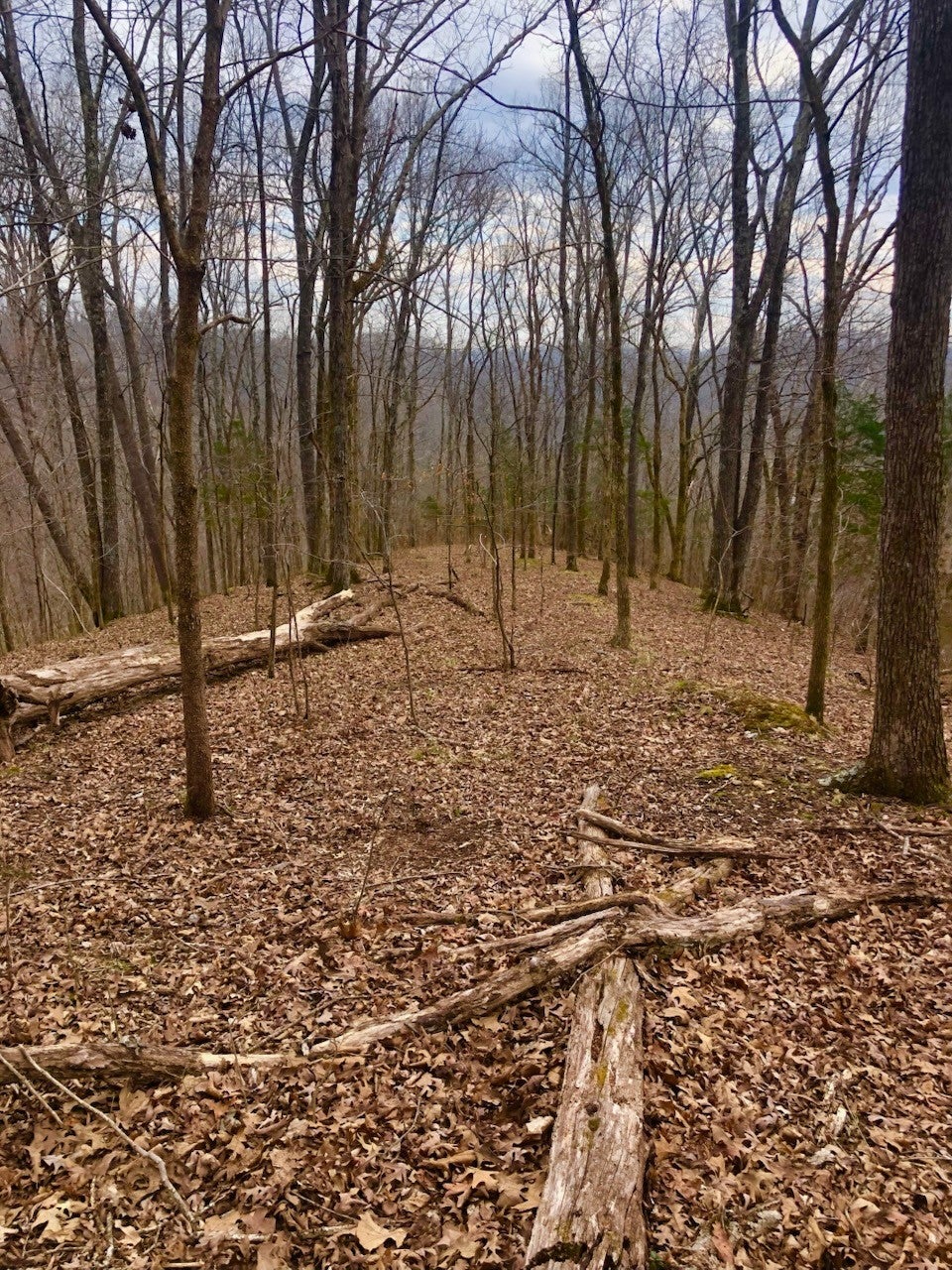 Photo of Listing #3097491