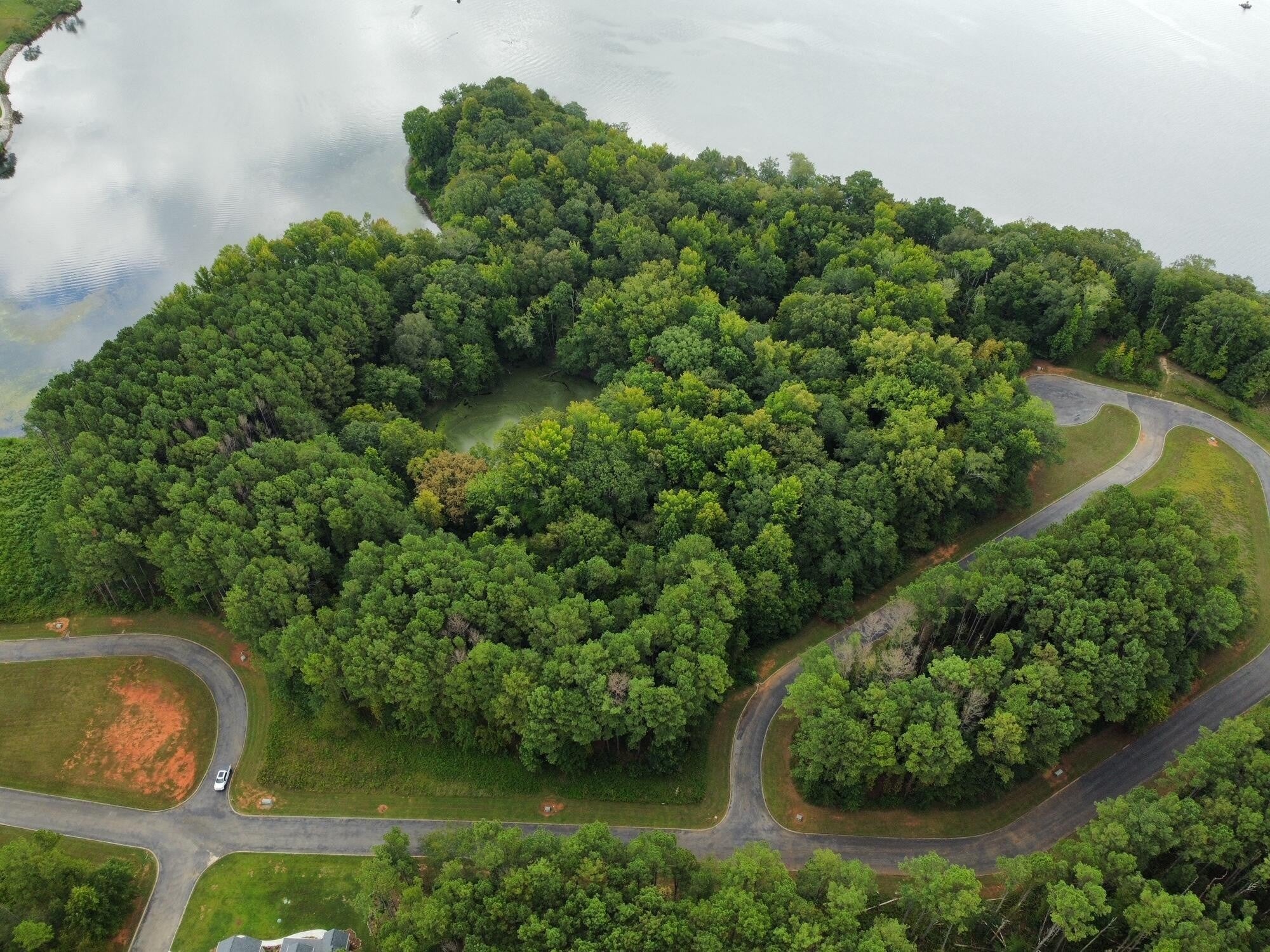 Photo of Listing #3097549