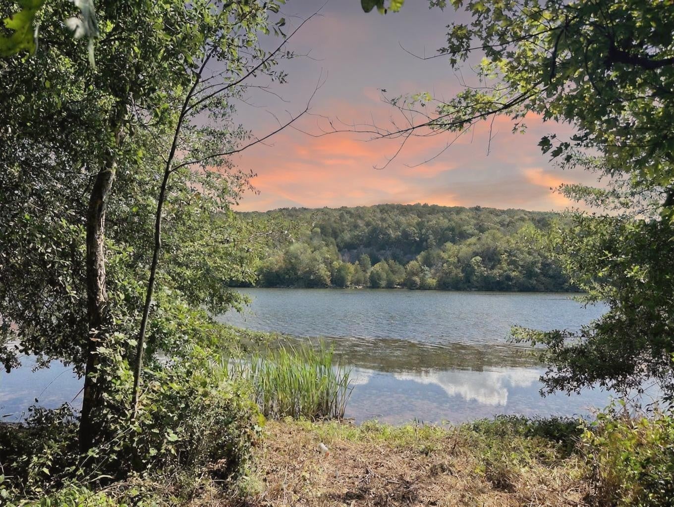 Photo of Listing #3097555