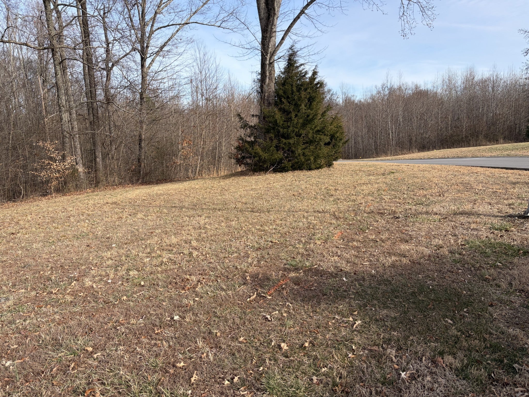 Photo of Listing #3097585