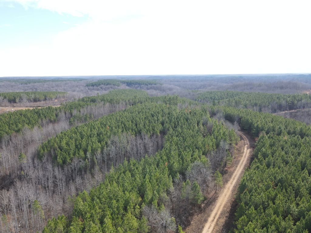 0 North Fork, Stewart