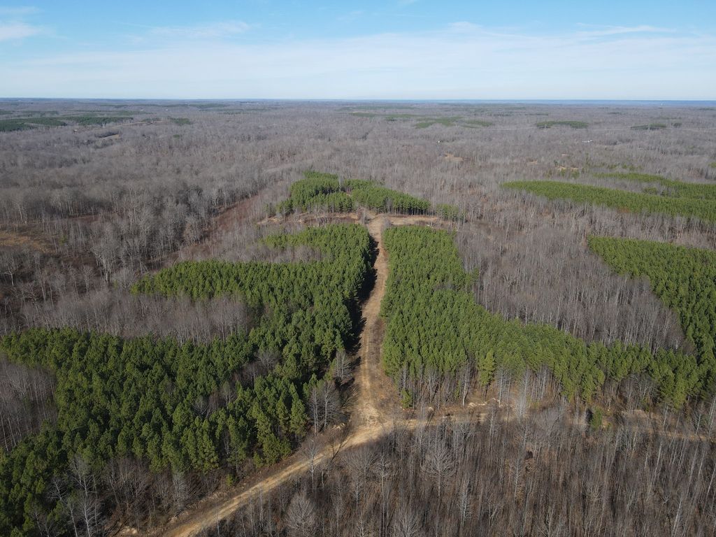 0 North Fork, Stewart