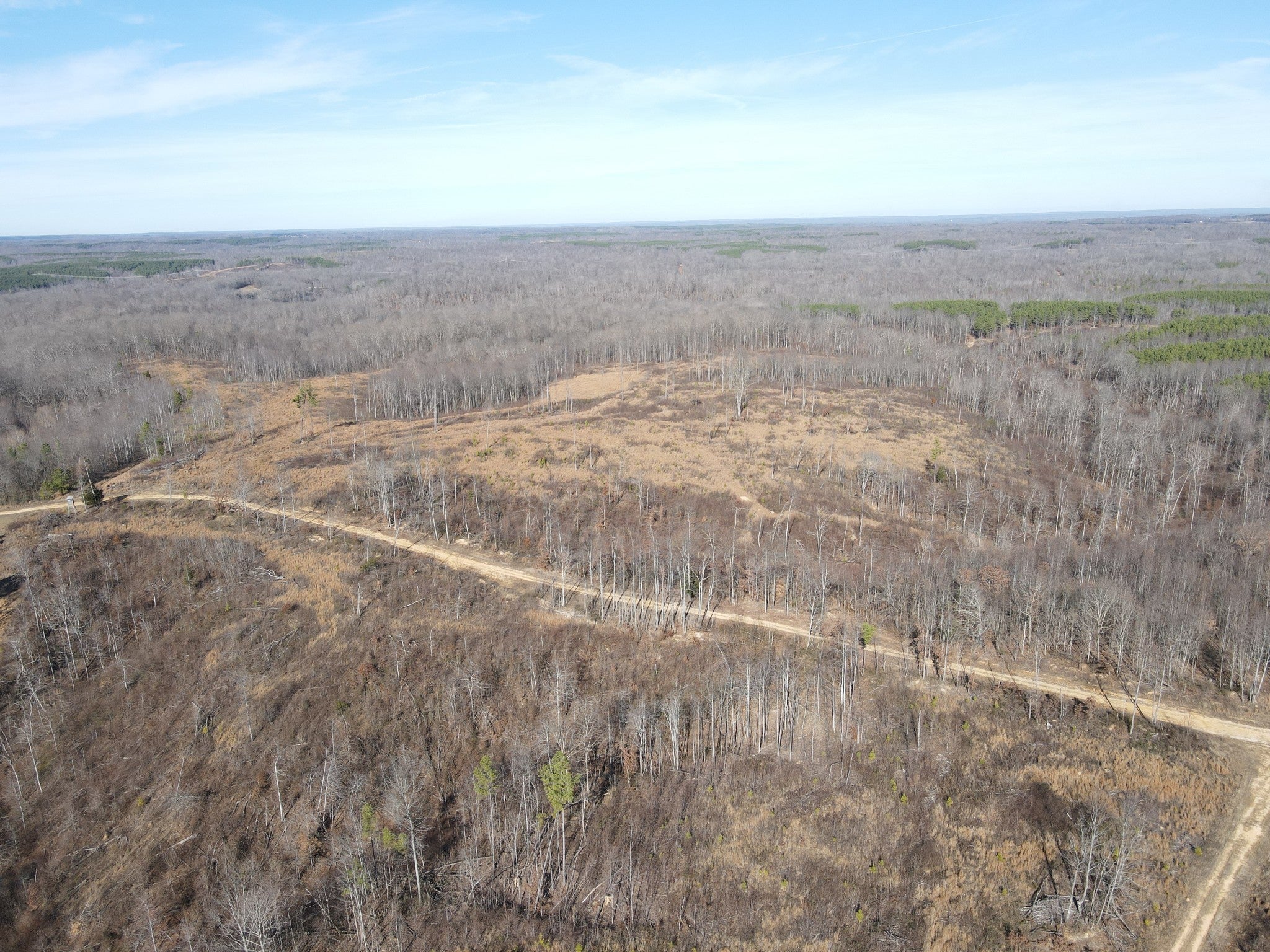 Photo of Listing #3098113