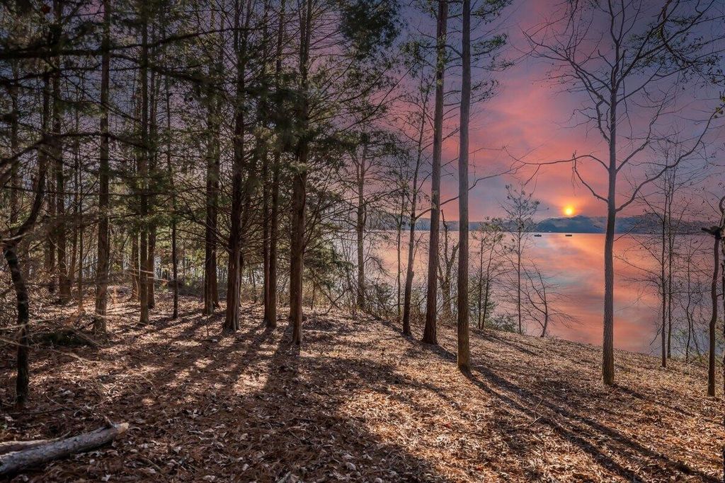 0 Castaway Lane, Jasper