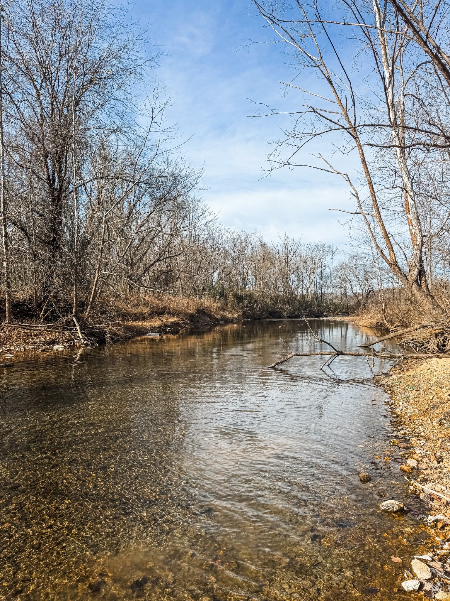 Photo of Listing #3098235