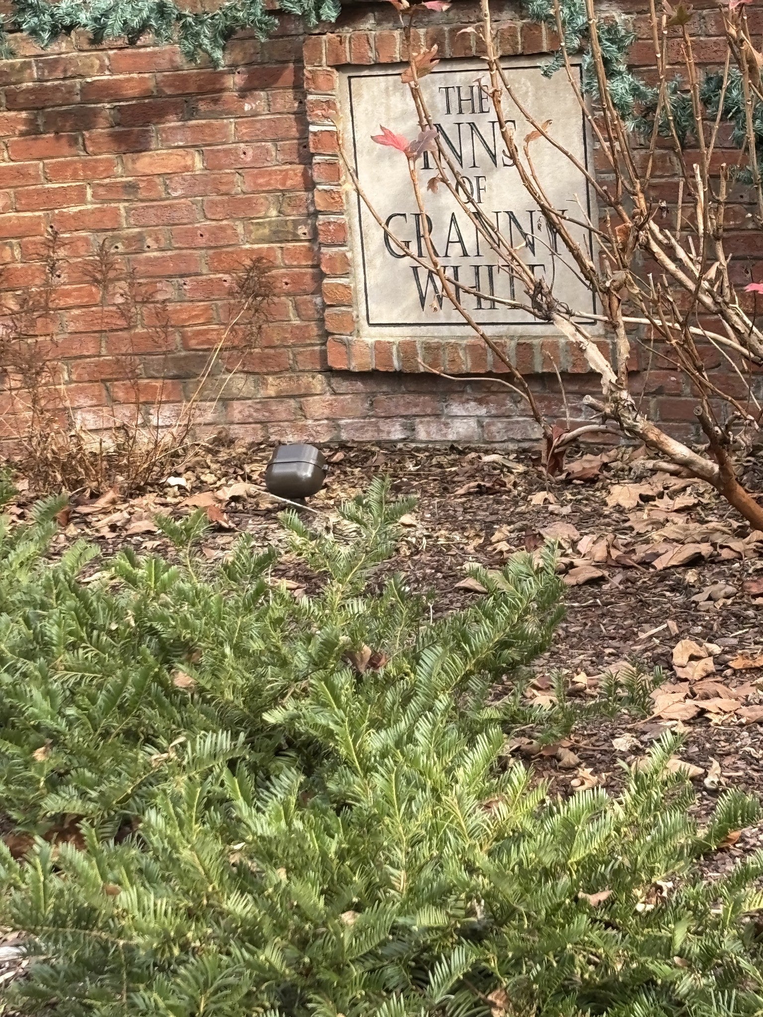 Photo of Listing #3098255