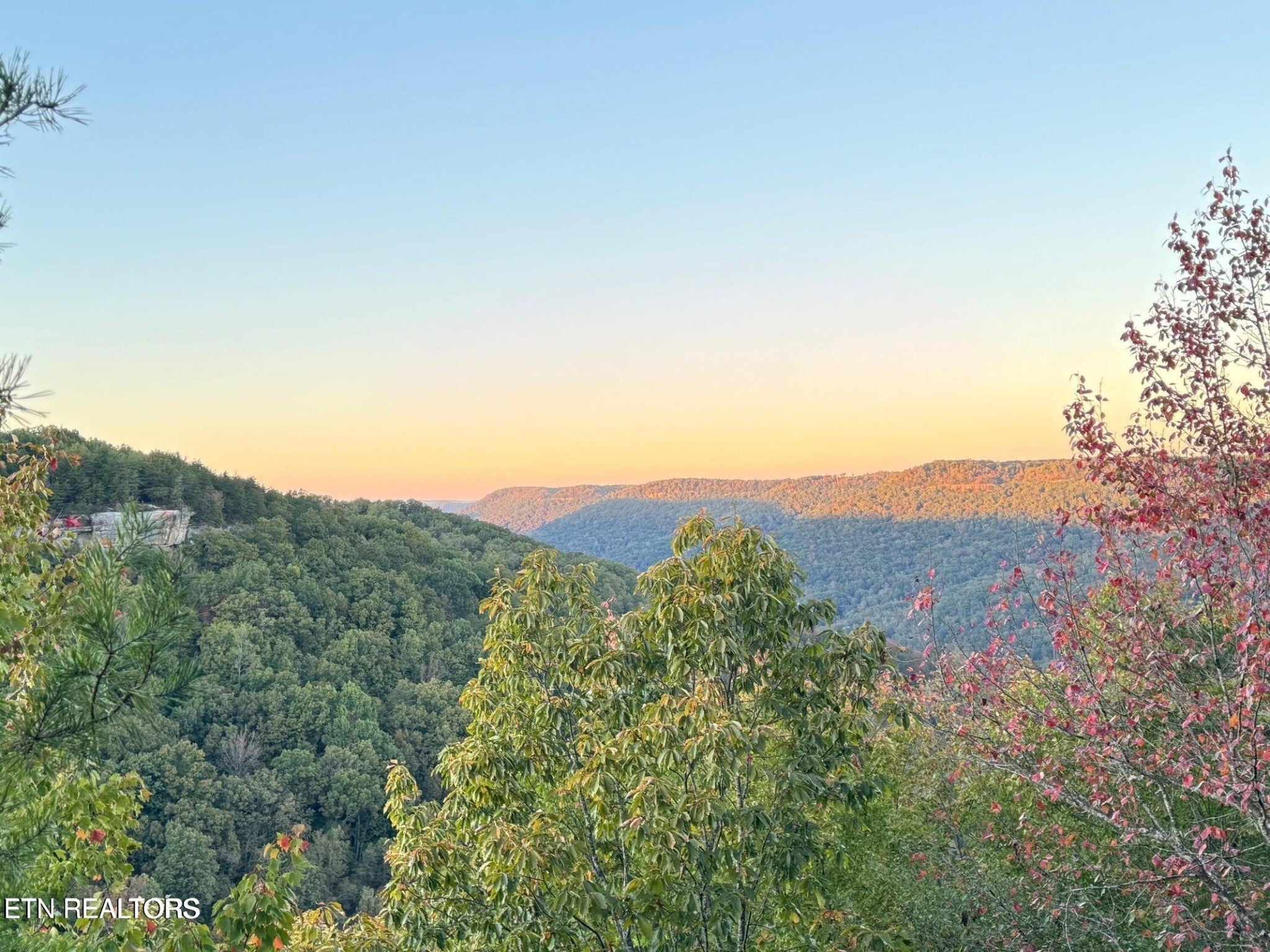 Photo of Listing #3098259