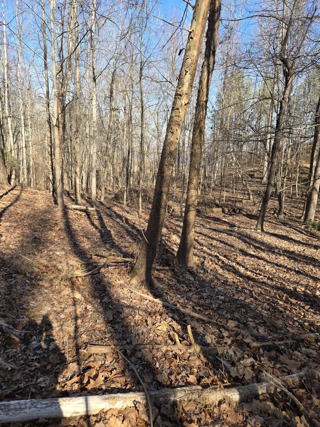 0 River Oaks Drive, Big Sandy