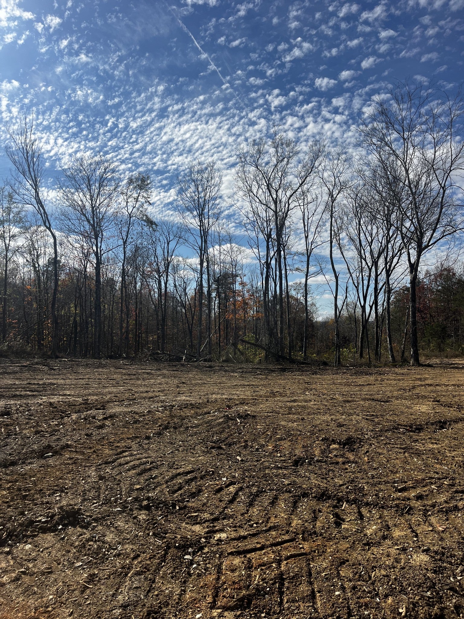 Photo of Listing #3098277