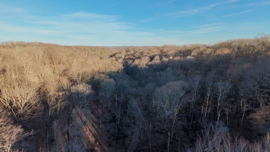 1843d Garrison Branch Rd, Cottontown