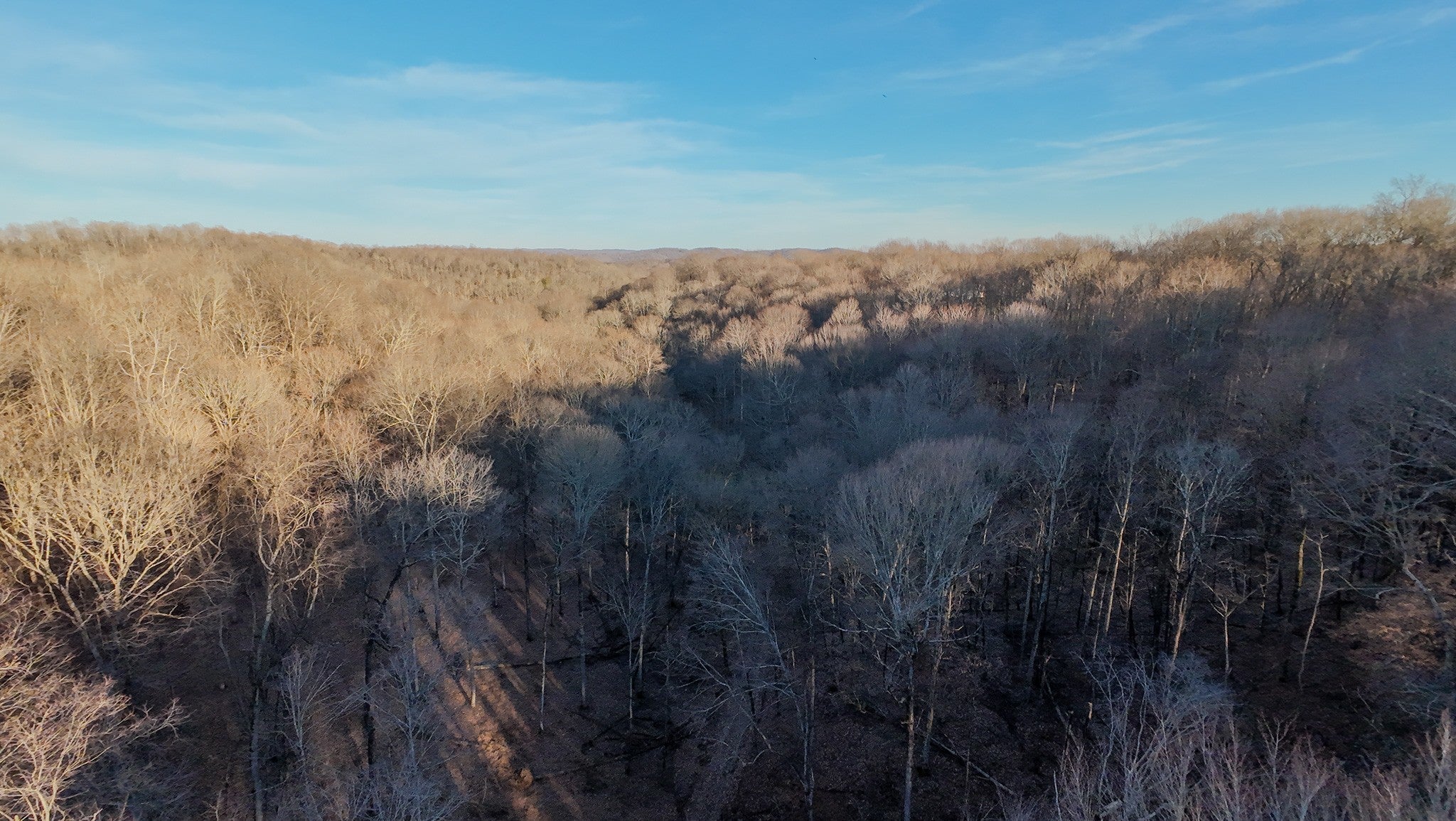 Photo of Listing #3098429