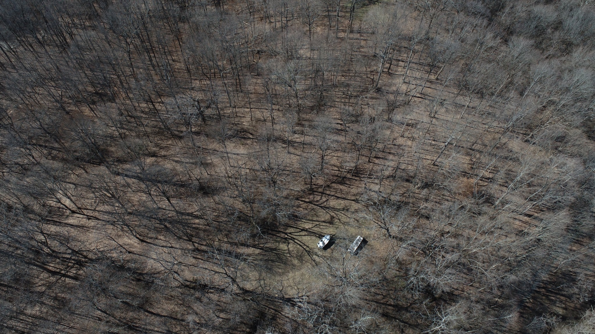 Photo of Listing #3098434