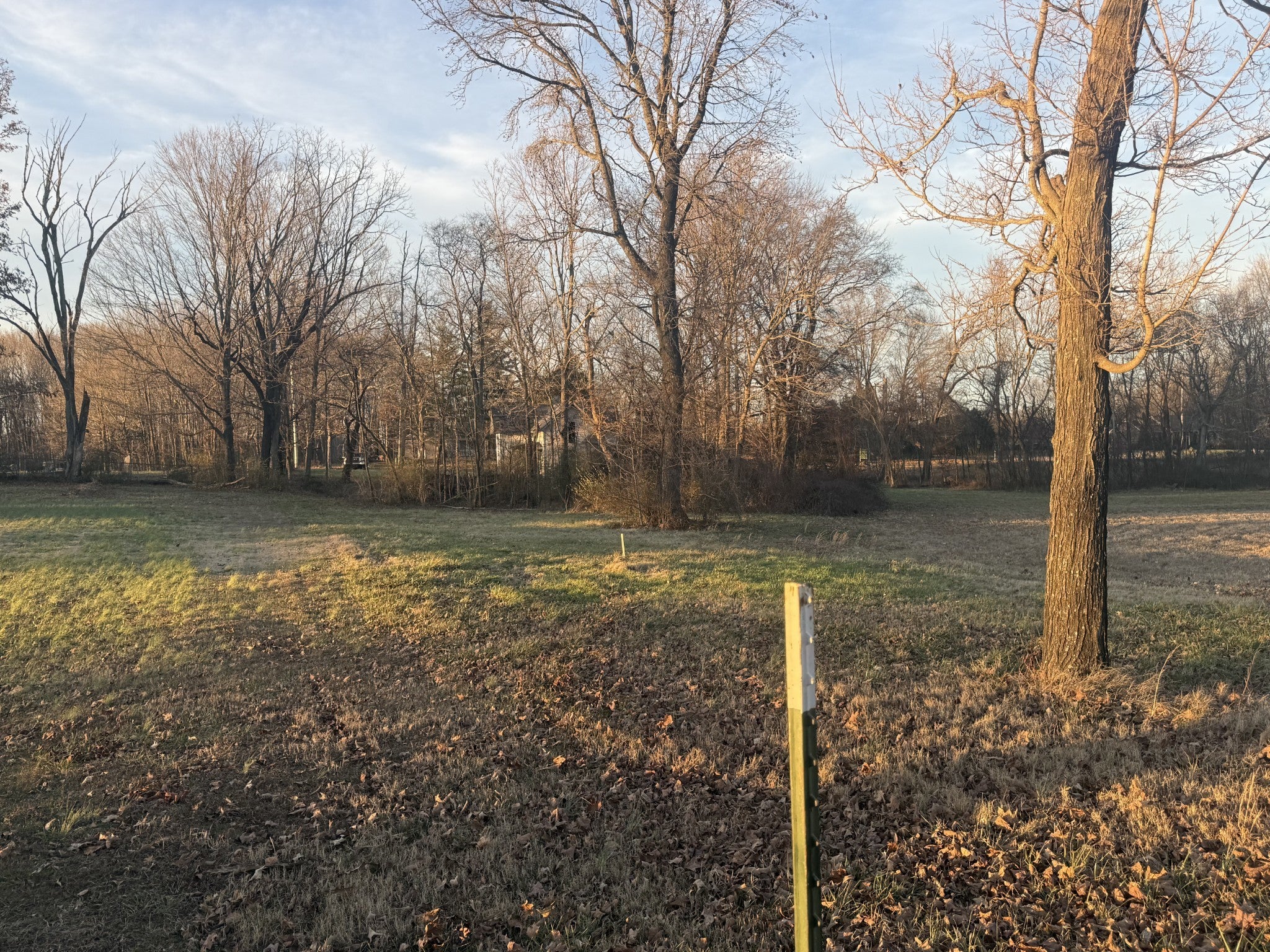 Photo of Listing #3098436