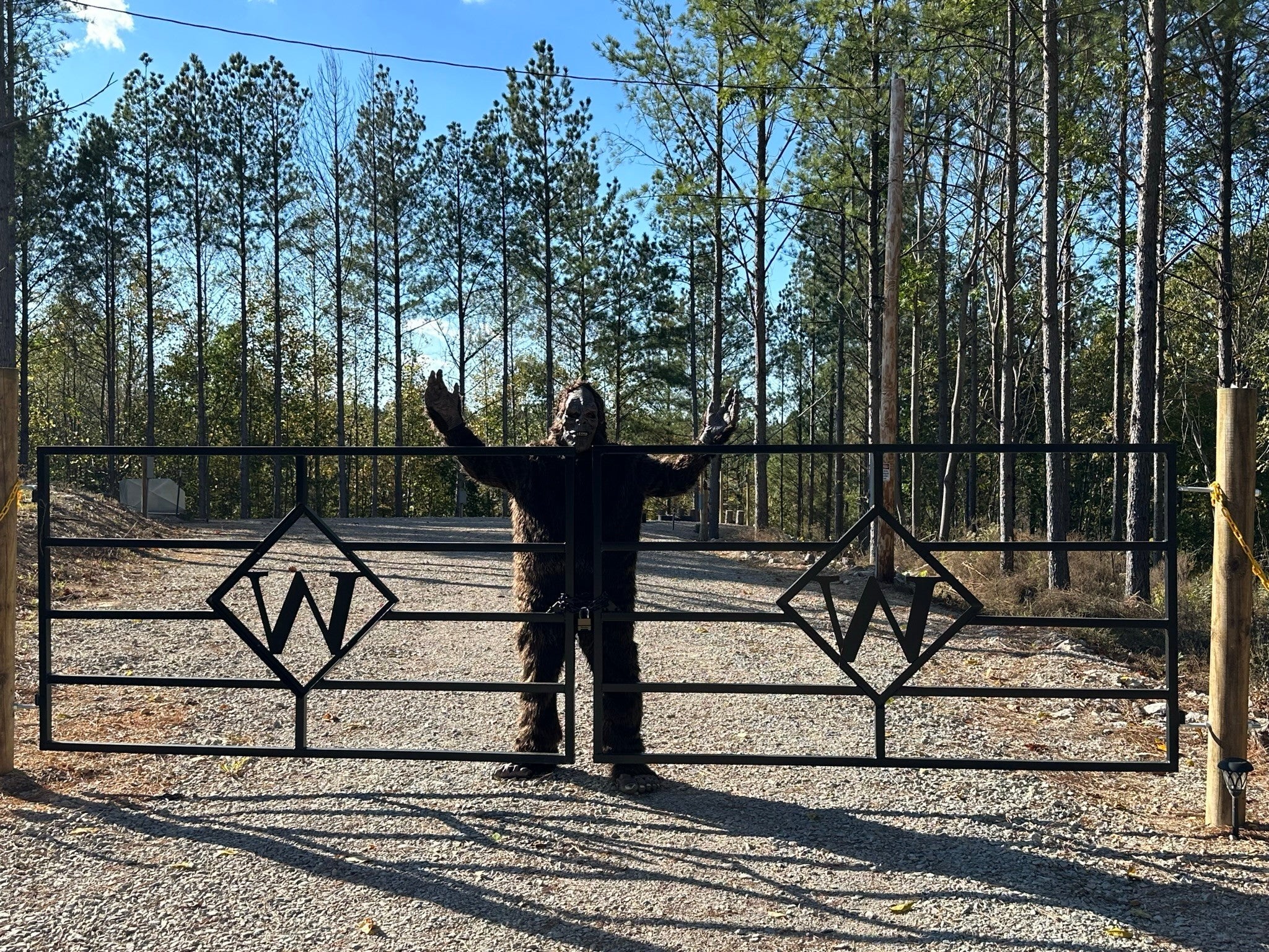 Photo of Listing #3098449