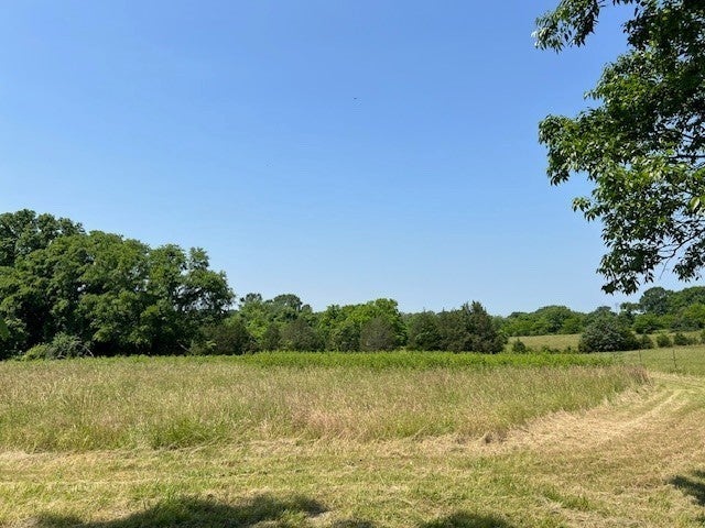 Photo of Listing #3098534