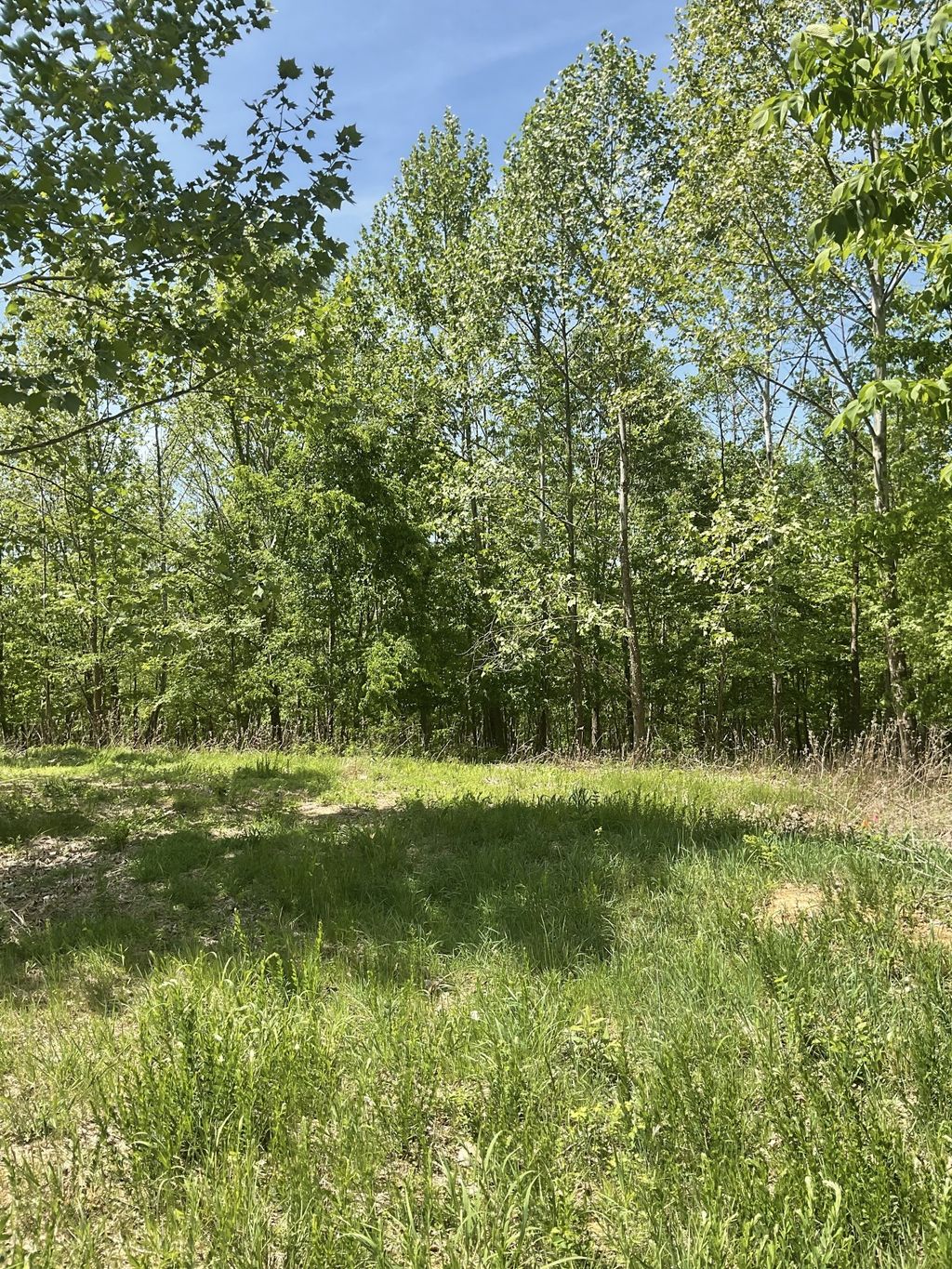 98 Saddleback Drive, Dover