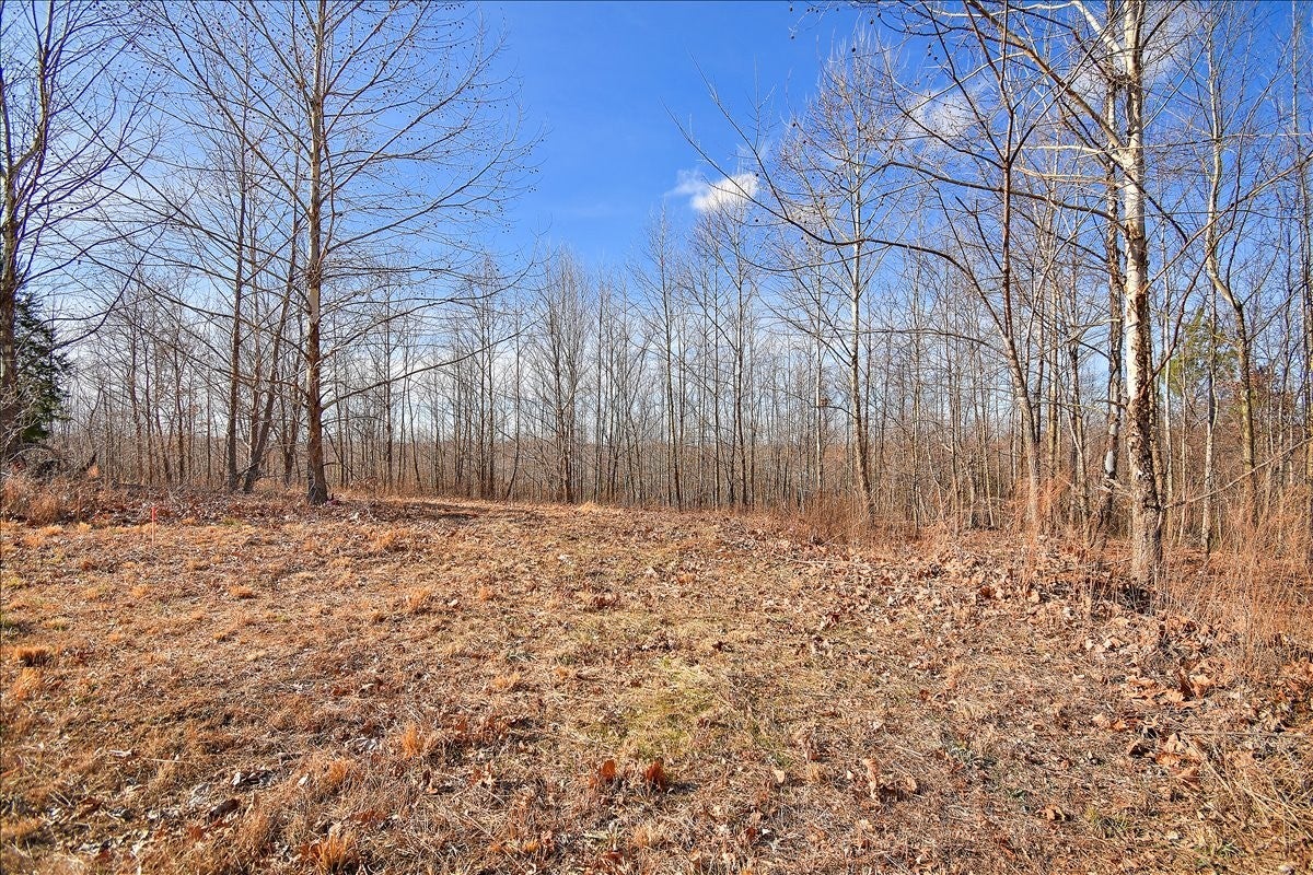 Photo of Listing #3098787