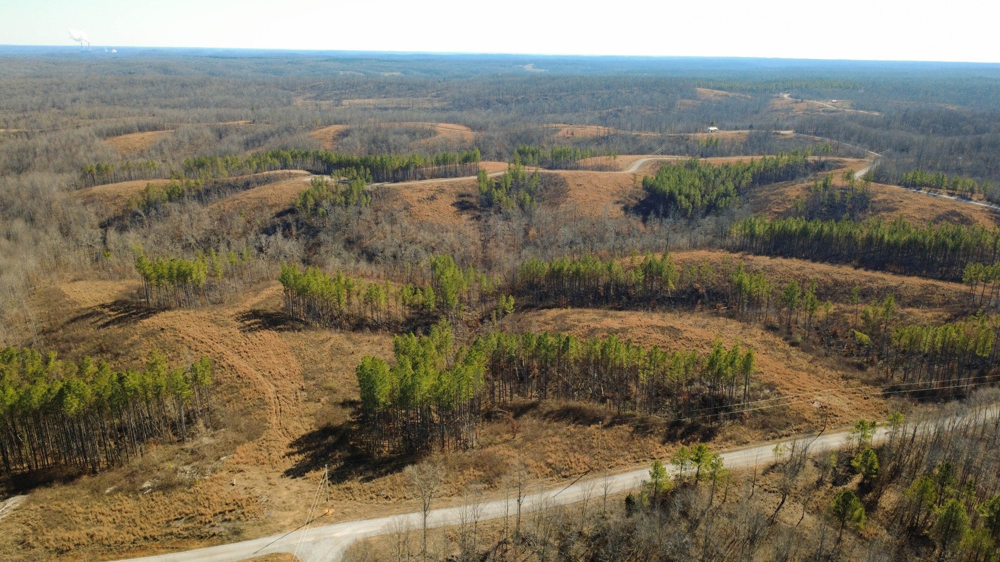 Photo of Listing #3098807