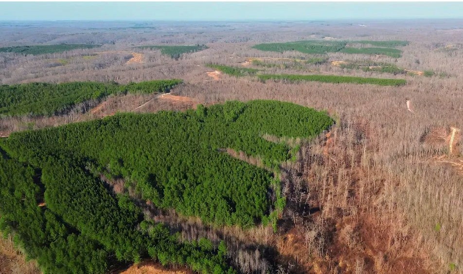 Photo of Listing #3099197