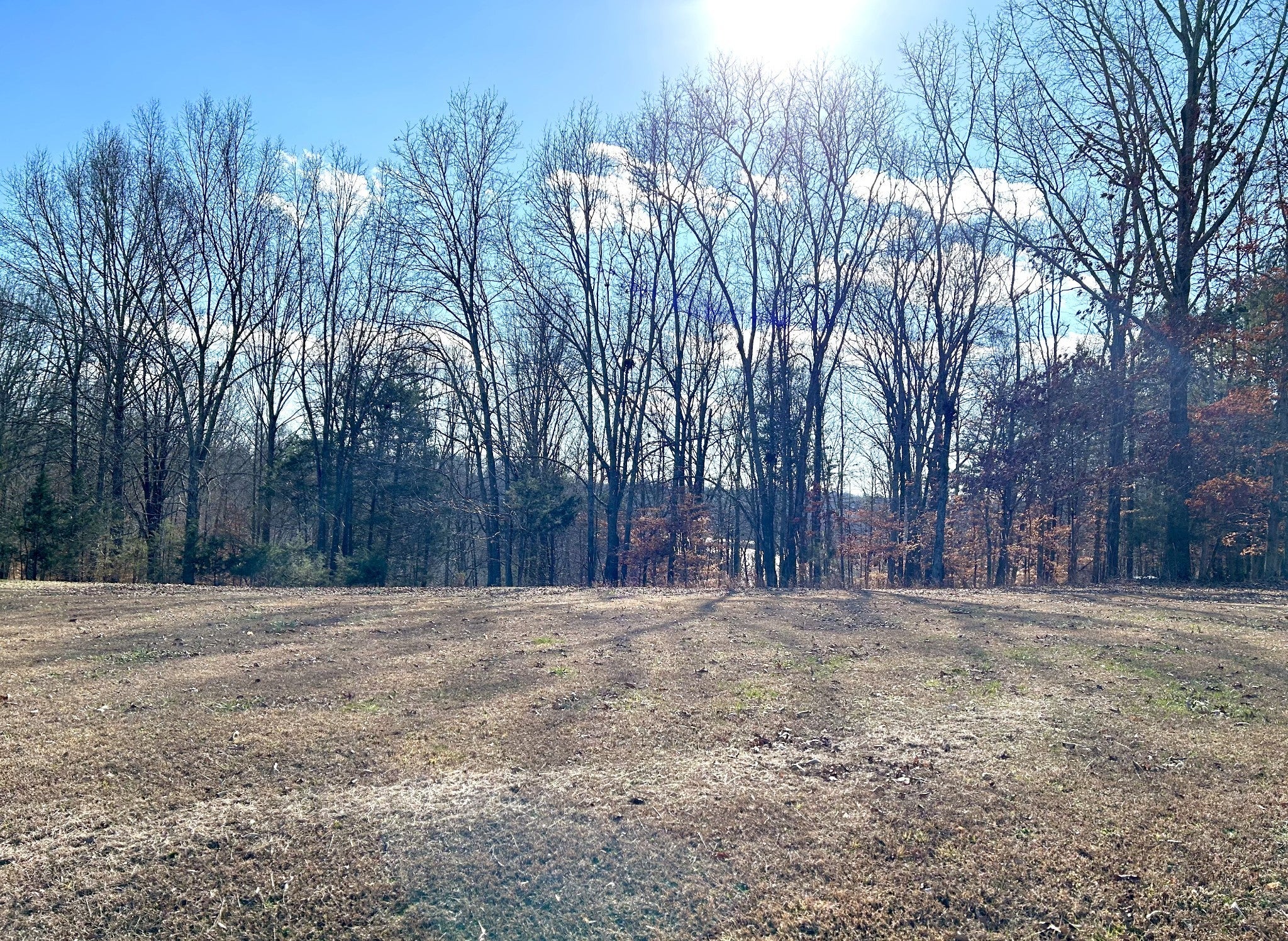 Photo of Listing #3099324