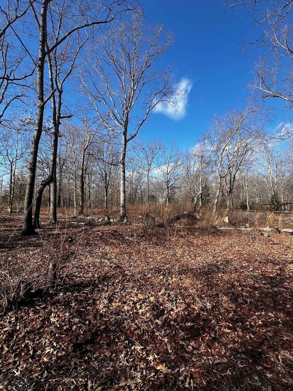 0 Bull Run, Beechgrove