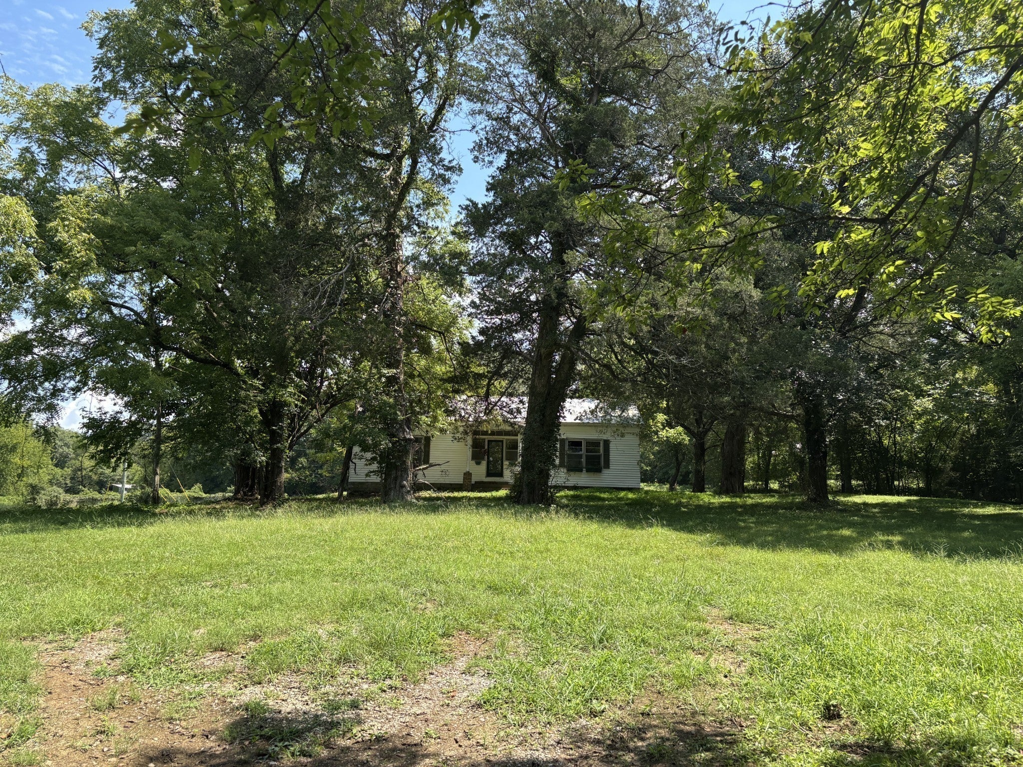 Photo of Listing #3099482